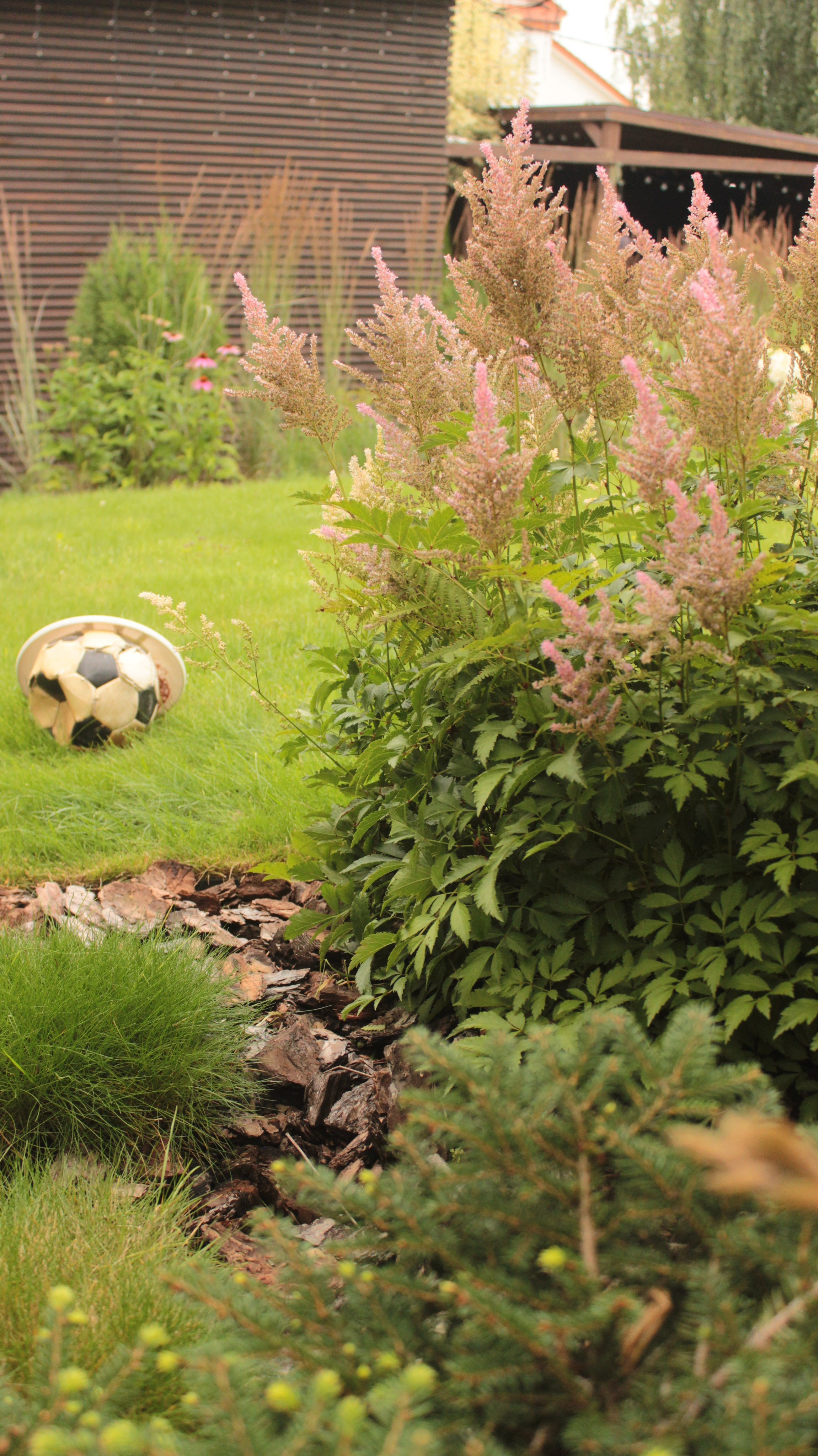 GARDEN IN S. LA. Ландшафтный дизайн в Минске и Гродно