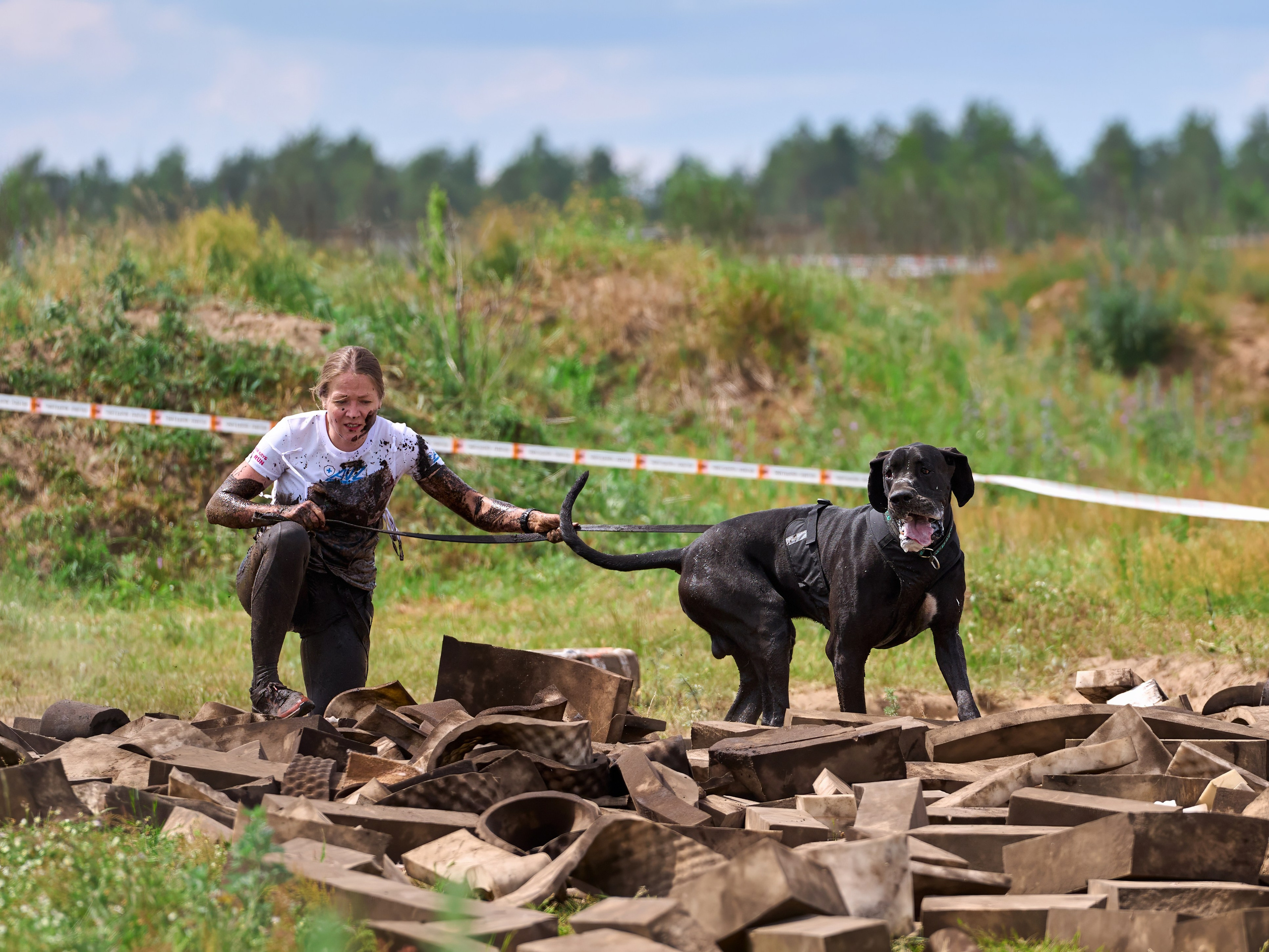 Хвостатый драйв — 2024. Фотограф-анималист Михаил Манухин