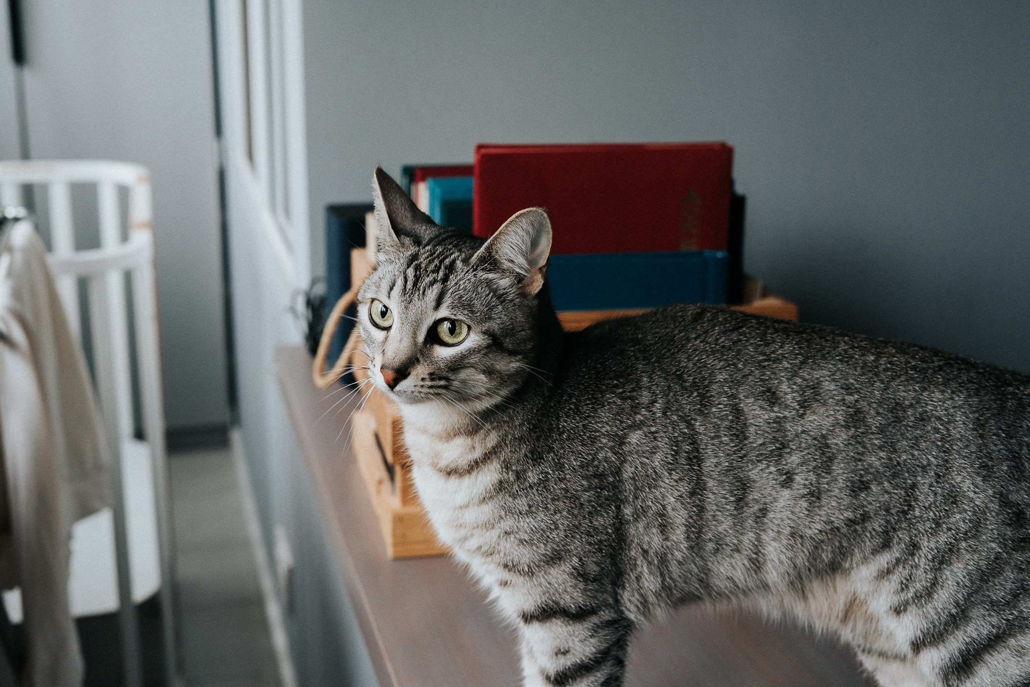 детский фотограф сочи