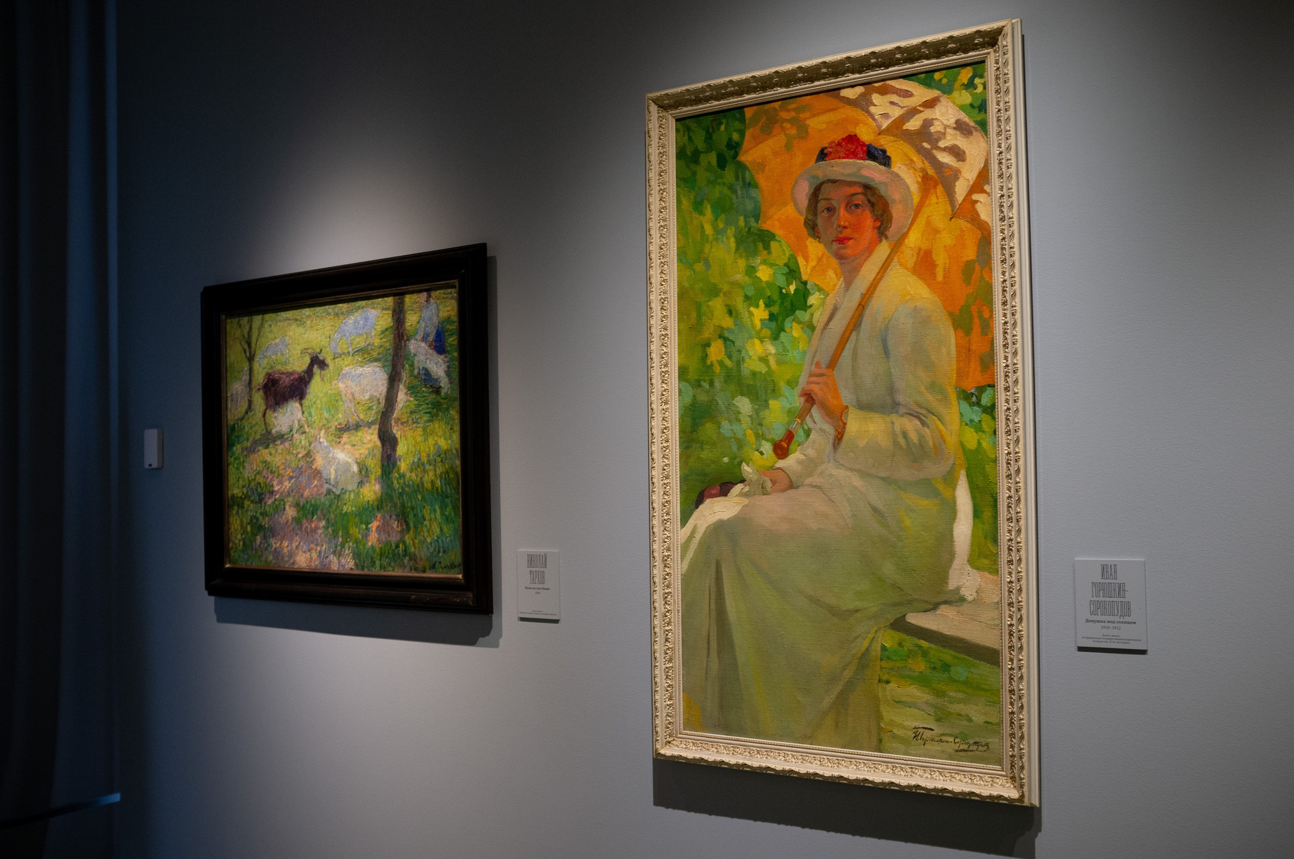 Изображая воздух. Русские мотивы и японизмы. Искусство фотографии. Мария Осокина