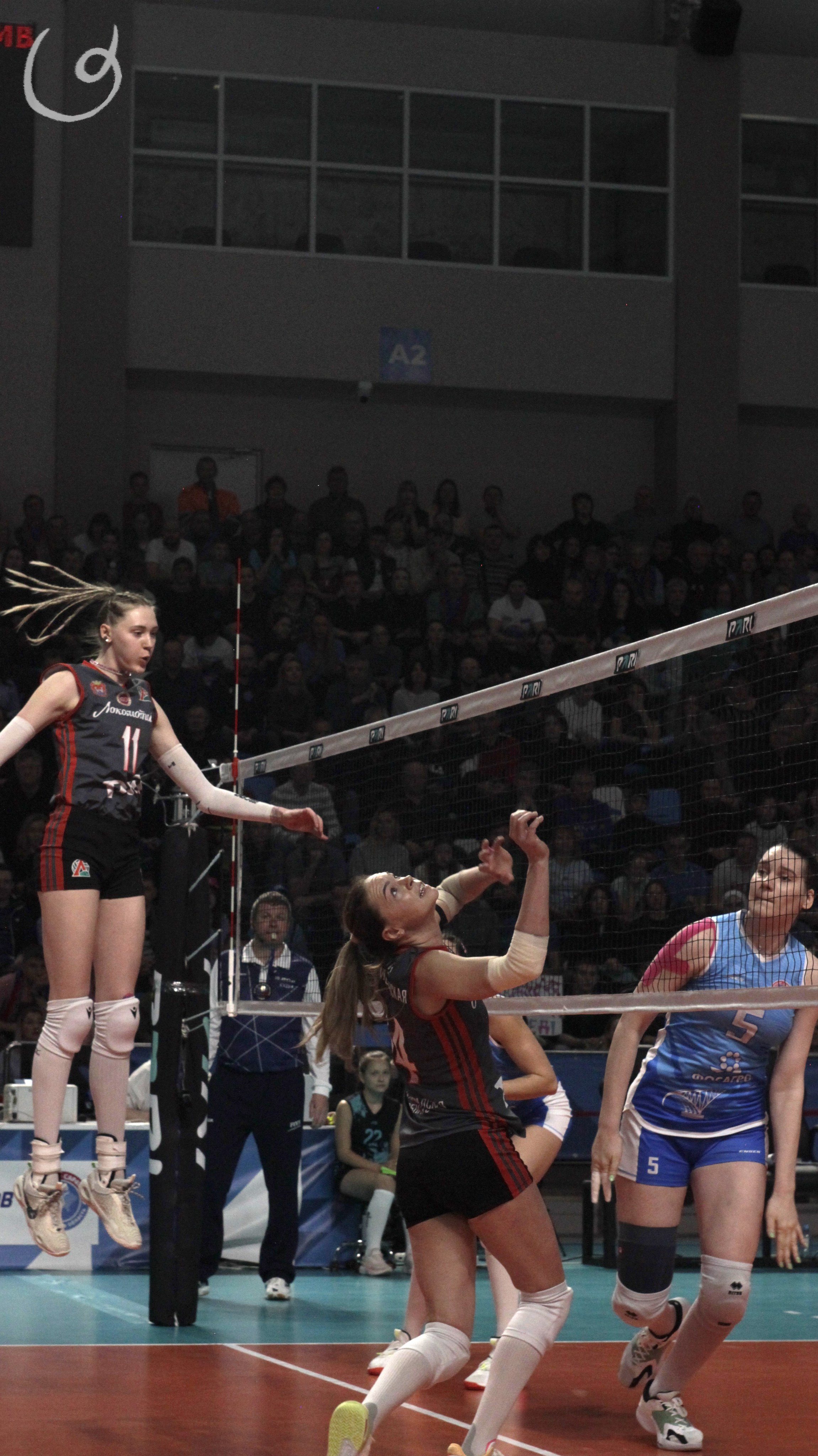 Волейбольный матч ПРОТОН vs Локомотив (Калининград). Фотокрыжовник. Снимаем, дружим, путешествуем