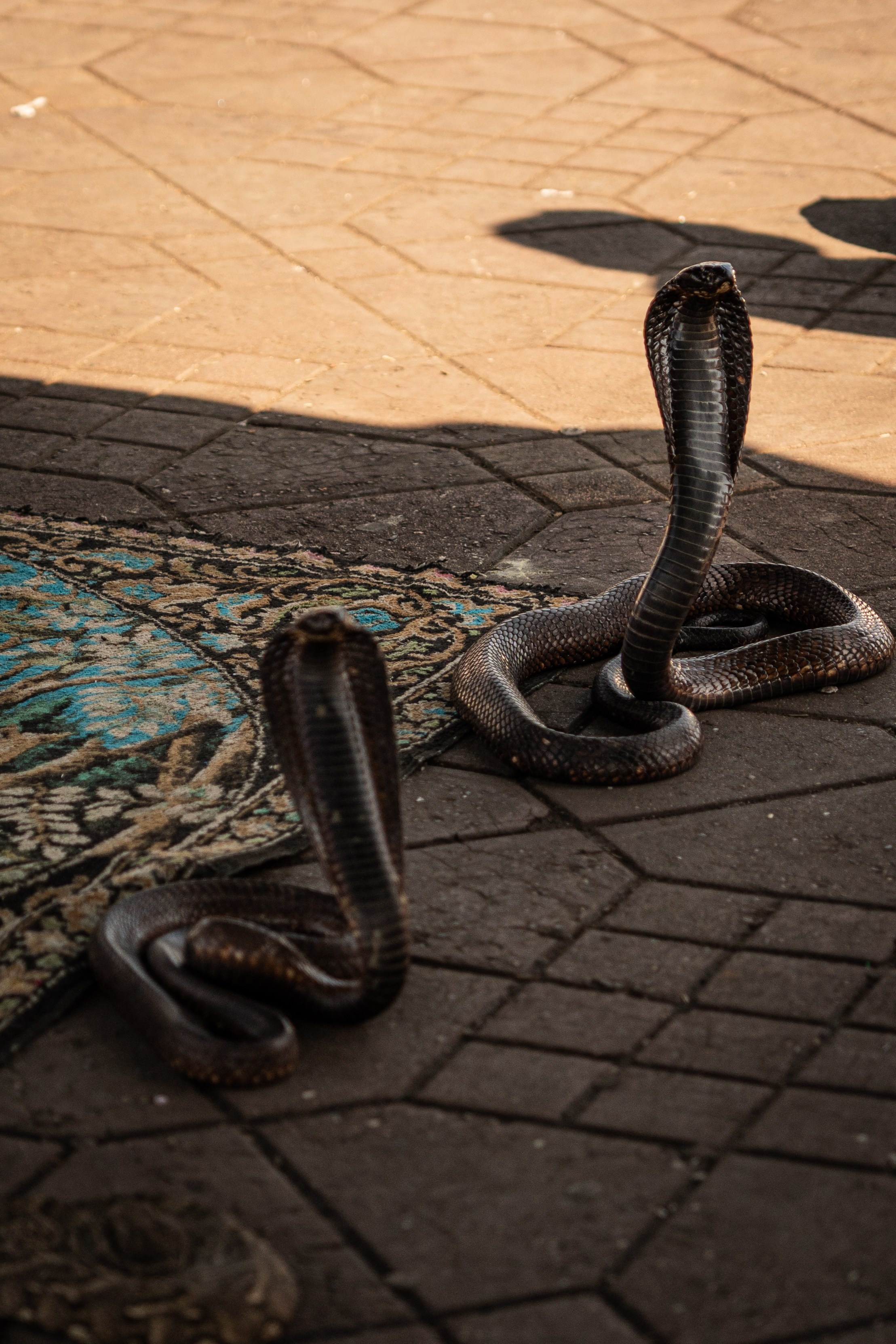 Марокко. Илья Варин — Фотограф Москва, Тверь