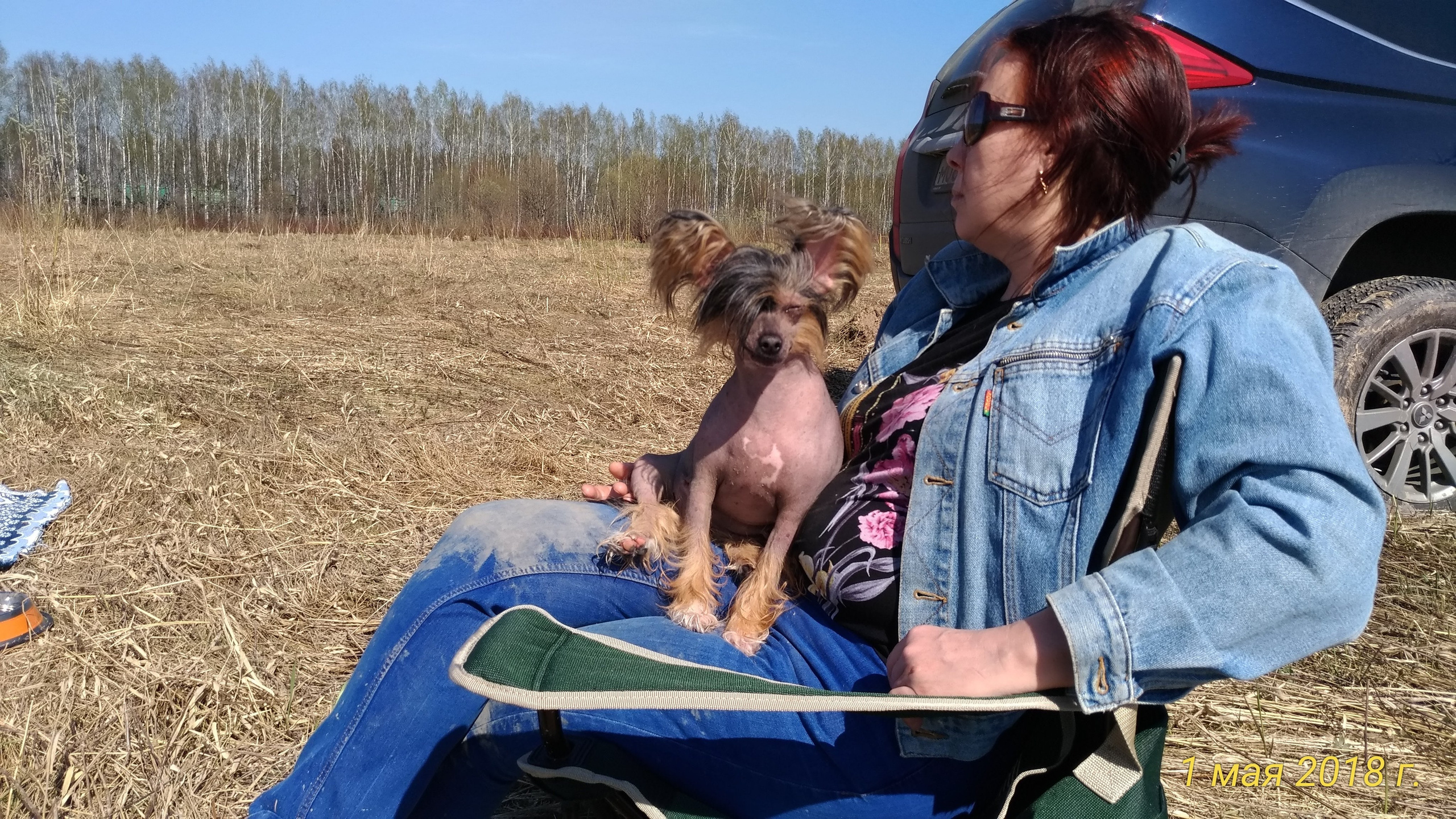 Adventure May 1, 2018 or a nursery on a walk. Chinese Crested Dog Kennel Poale Ell