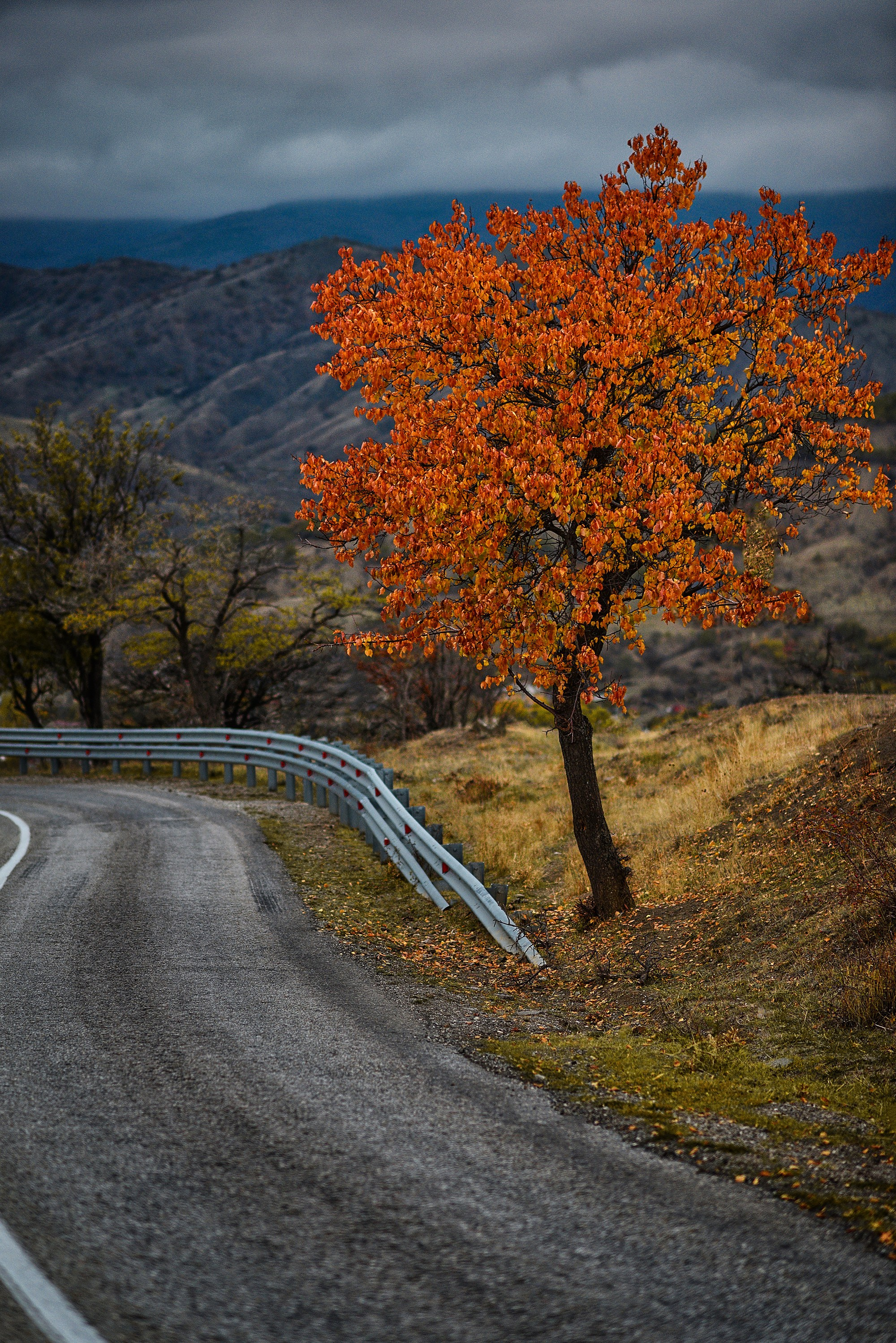Пейзажи. Яркие фото на Чёрном море
