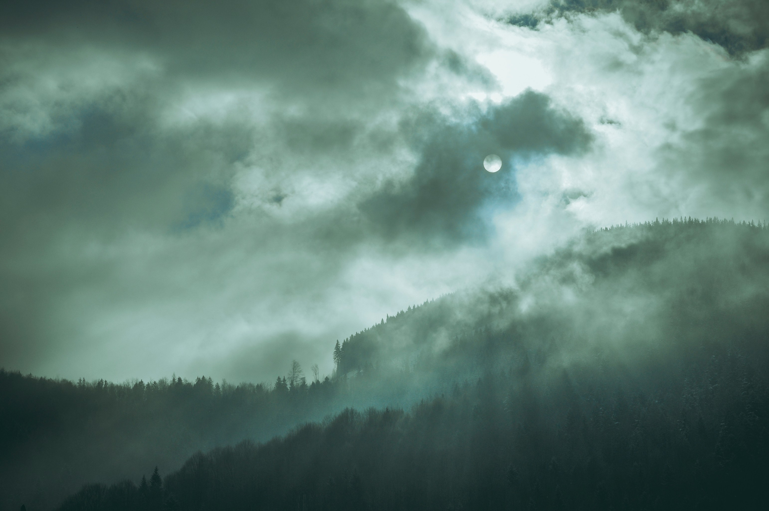 Репортажный фотограф Владимир Беляй