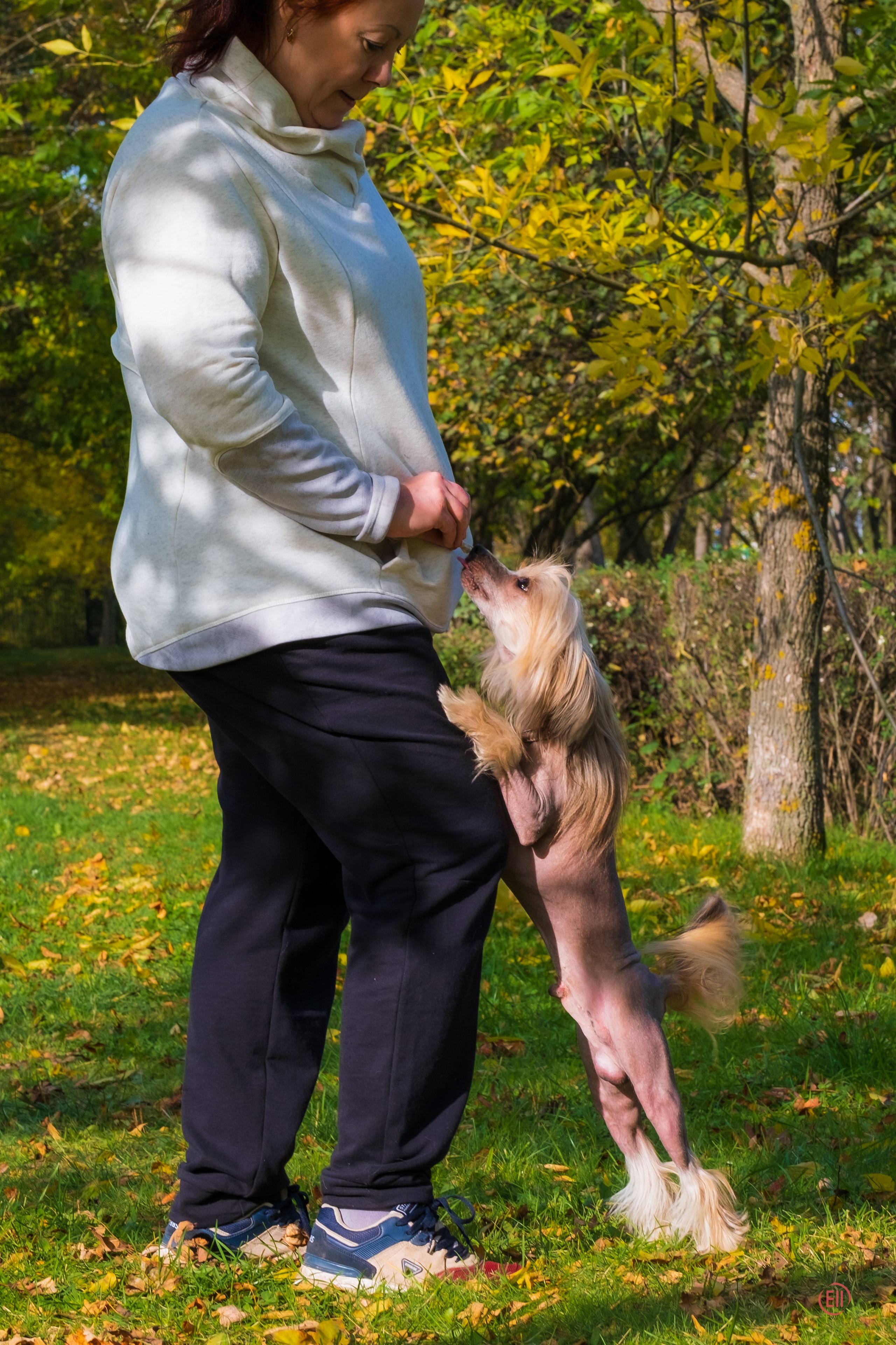 On a walk. Chinese Crested Dog Kennel Poale Ell