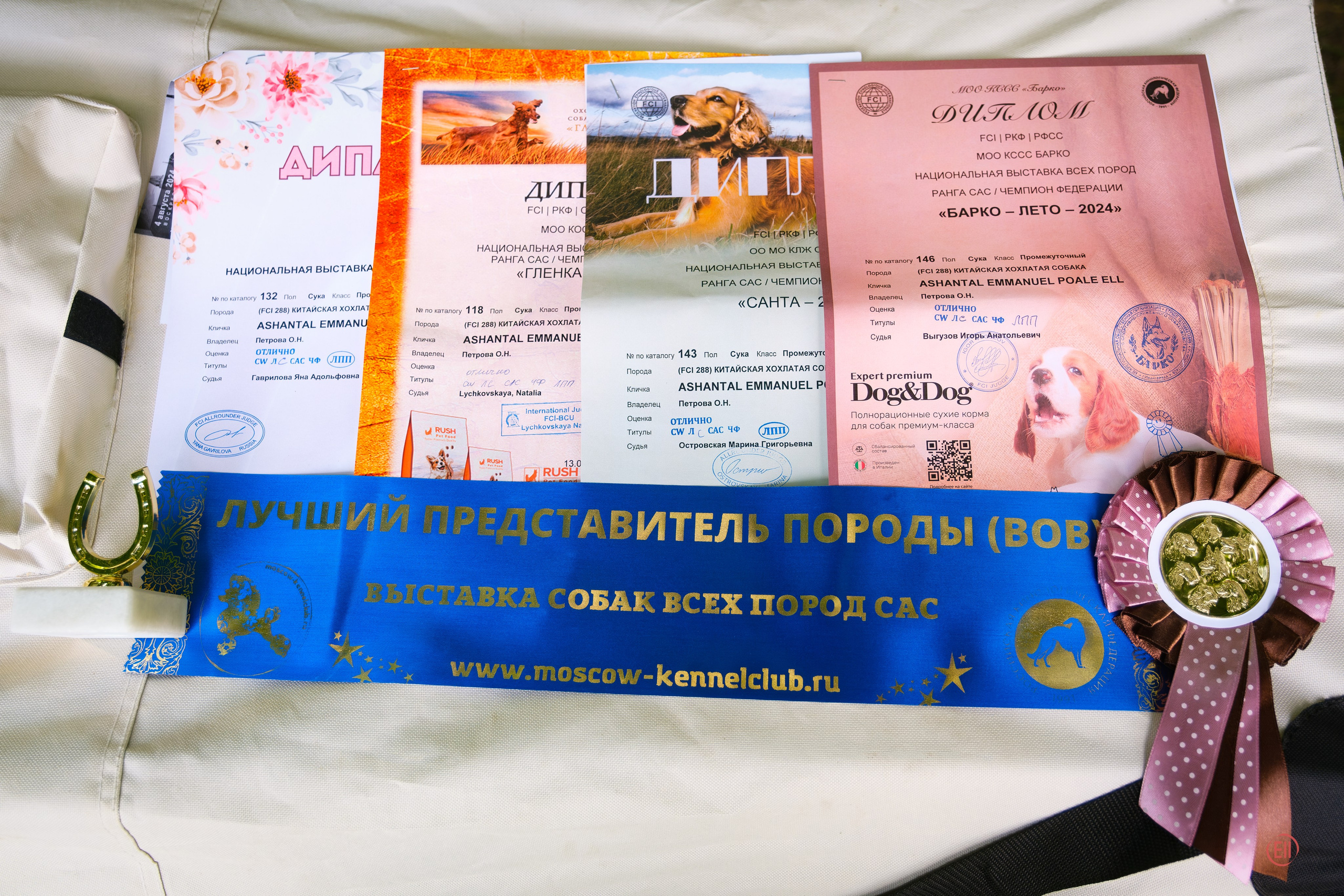 Четыре диплома ЛПП - Эмма Чемпион России