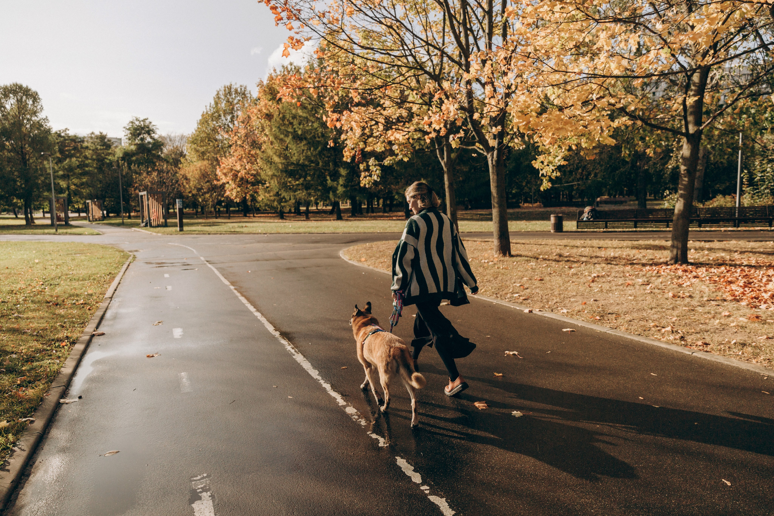 Фотограф-анималист в Москве Соломонова Варвара
