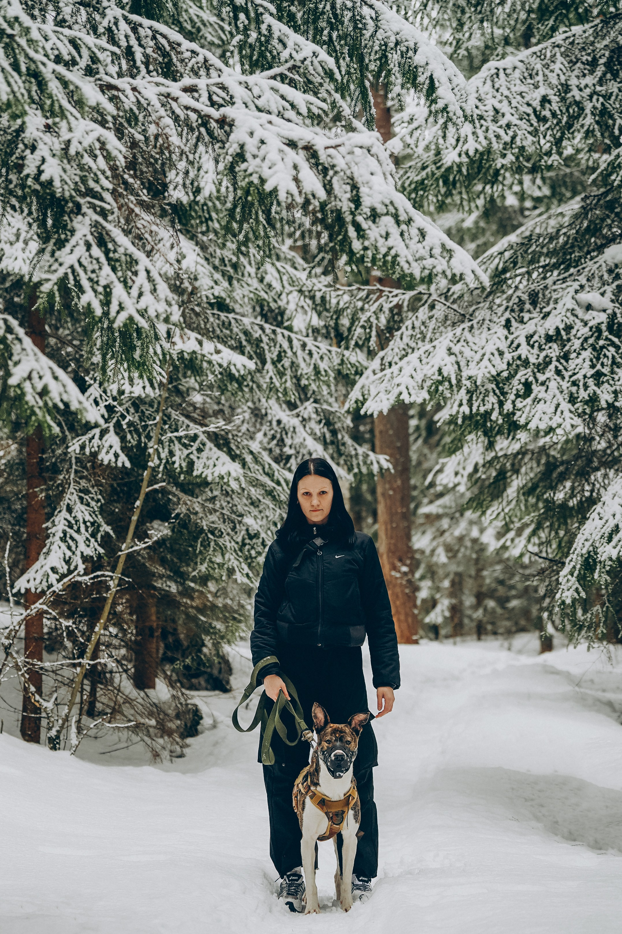 Гарм и Юна. Фотограф анималист в Спб недорого Олеся Майорова