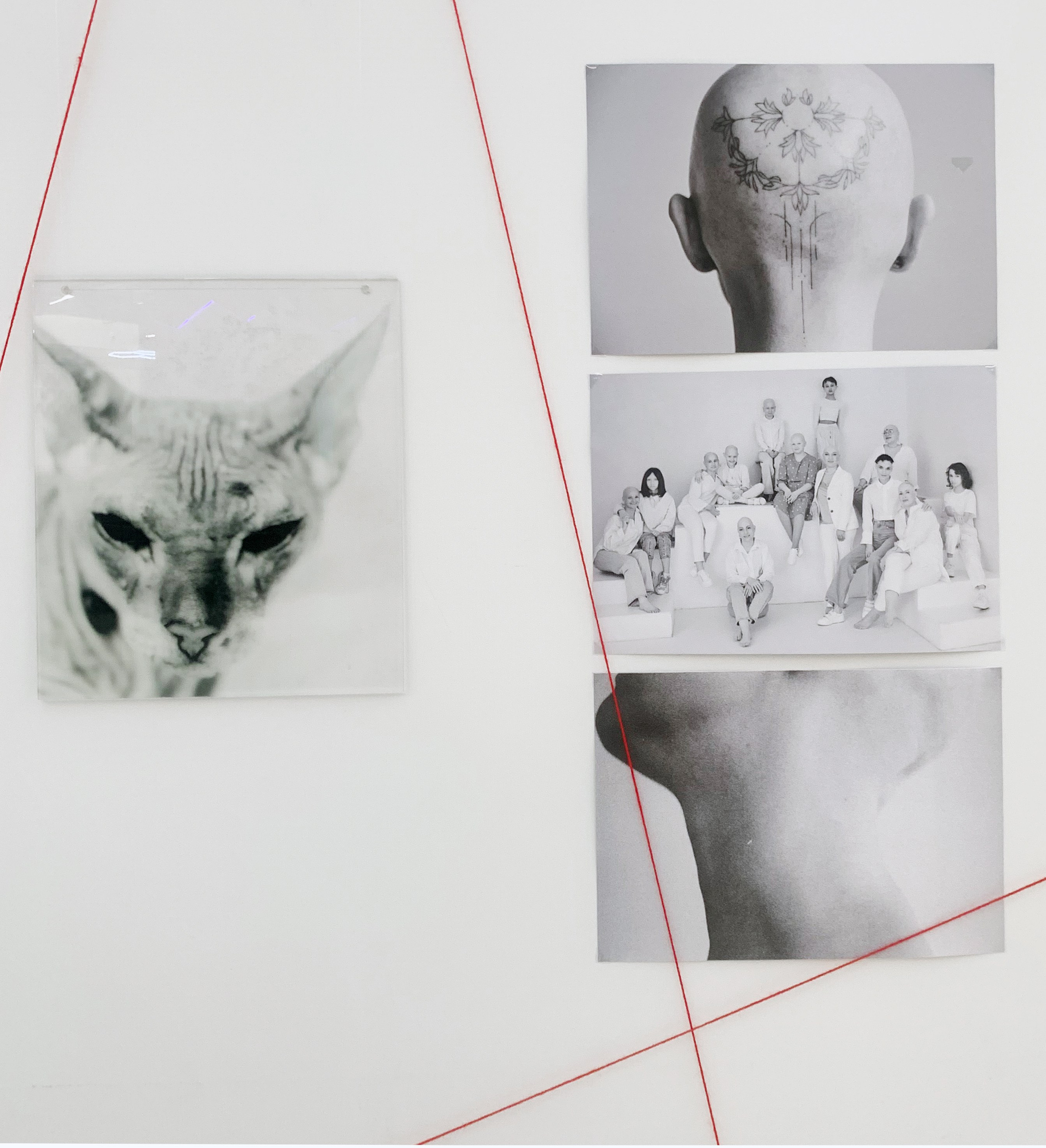 РаЗ\Вные. Контент-креатор Паша Норицын