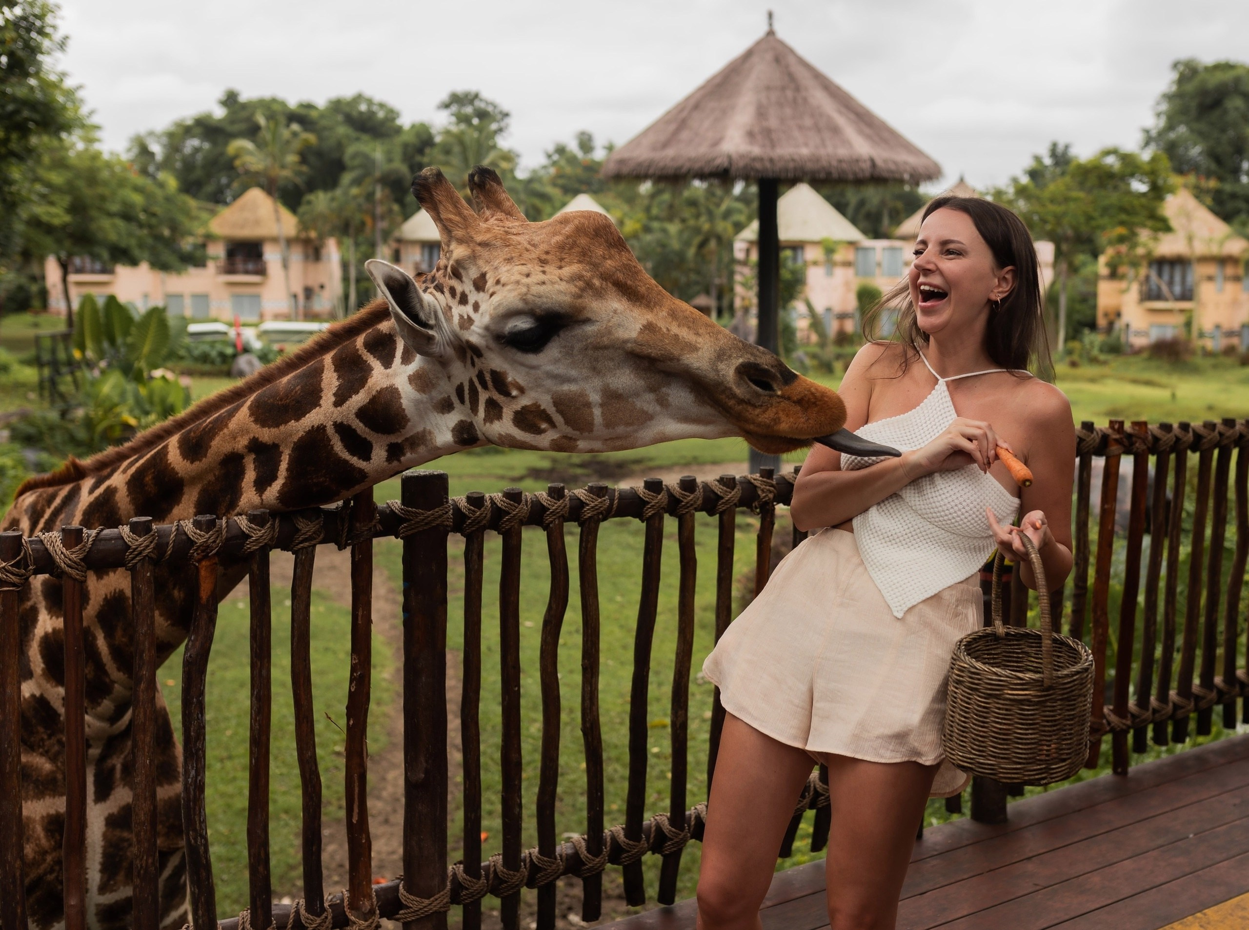 Туры по России и миру