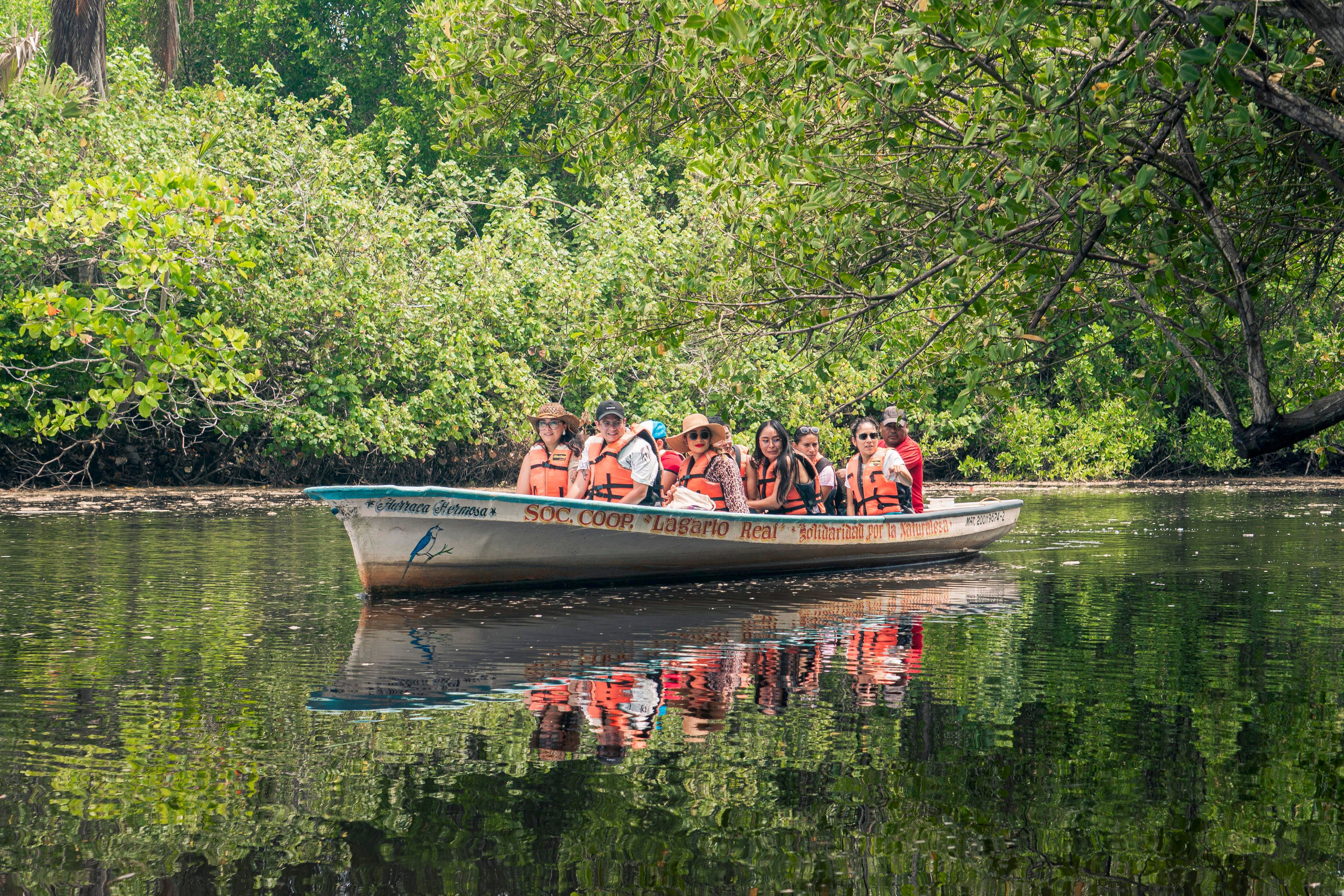 Crocos’ Paradise. CDMX Photography | Alex Klenin| Portrait & Event Photographer