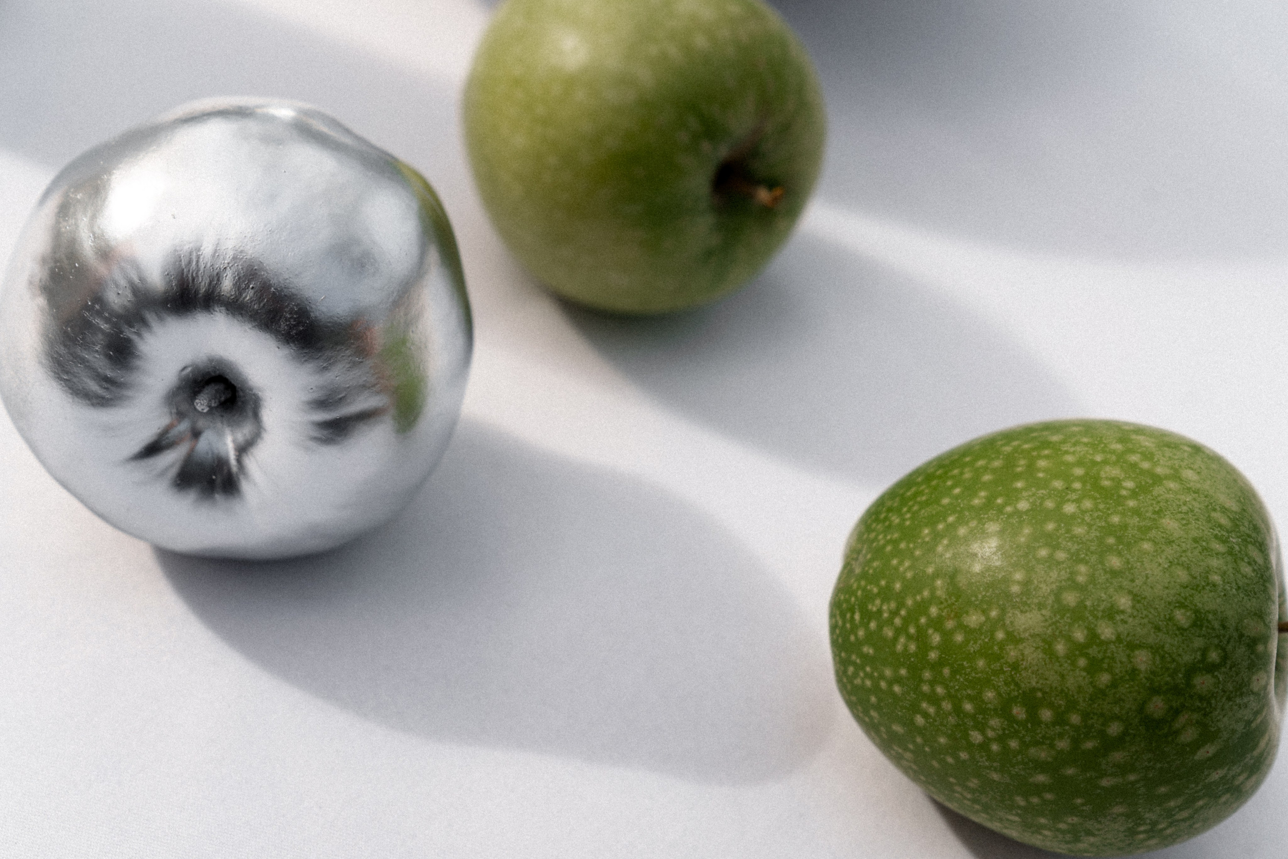 Витя и Соня. Организация свадеб и других мероприятий во Владивостоке от «Рядом быть»