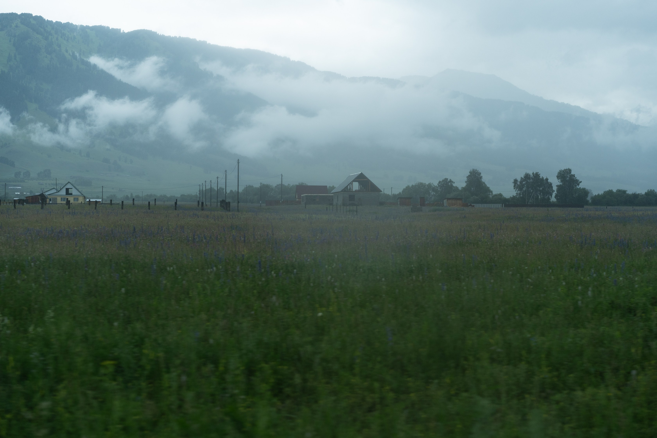 Алтай 2025. Лиза Фирстова