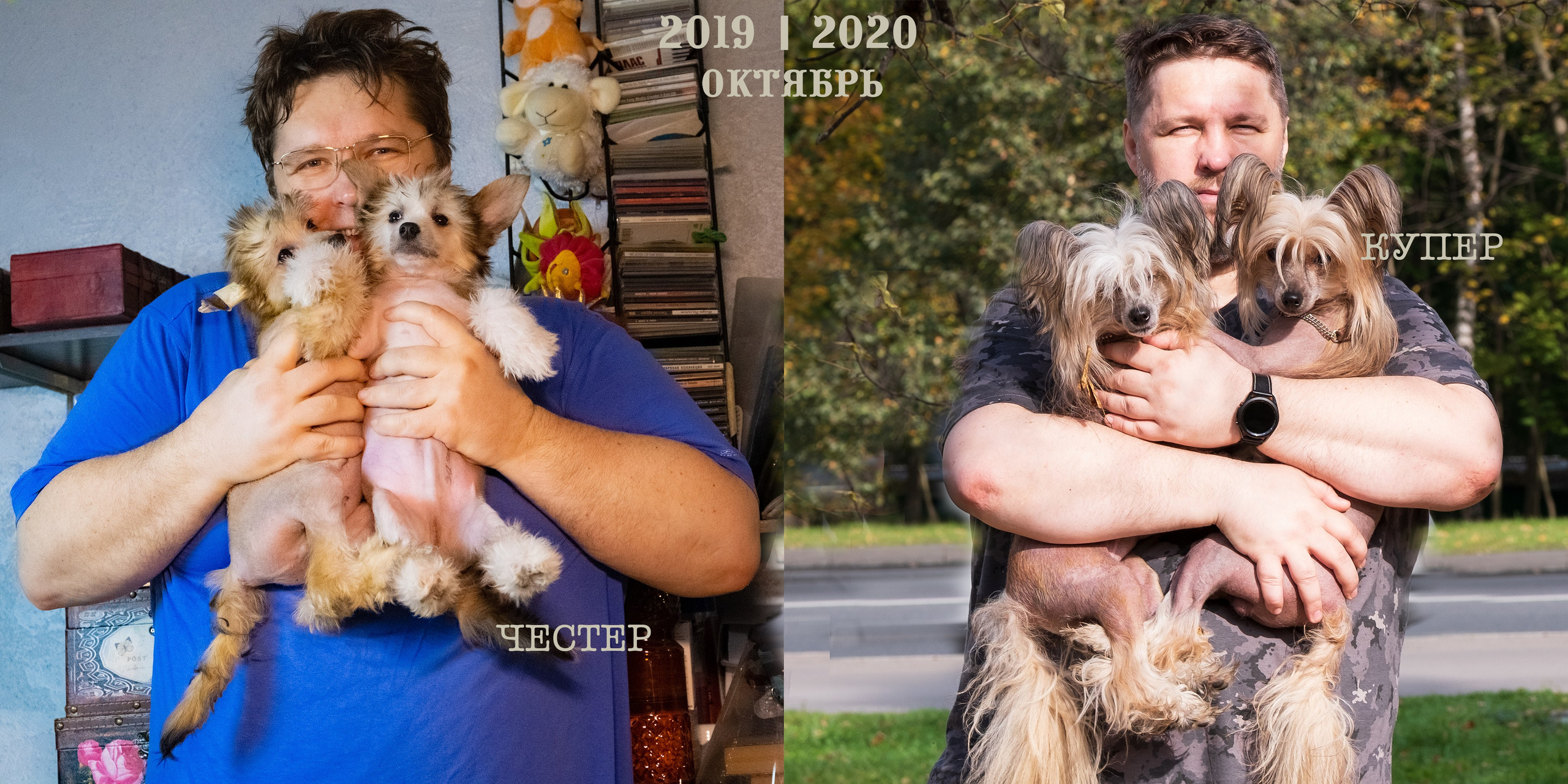 On a walk. Chinese Crested Dog Kennel Poale Ell