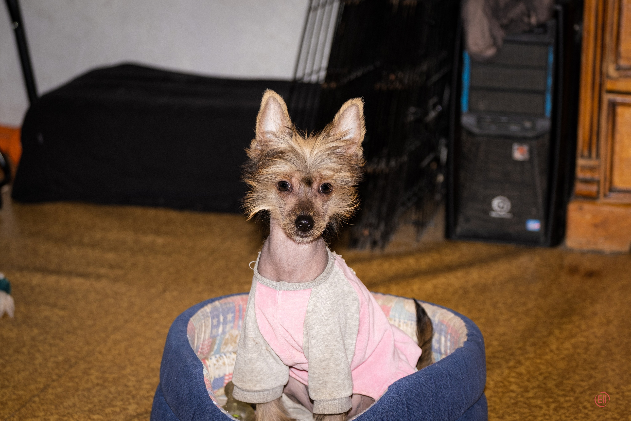 Emma (Ashantal Emmanuel Poale Ell) in Moscow