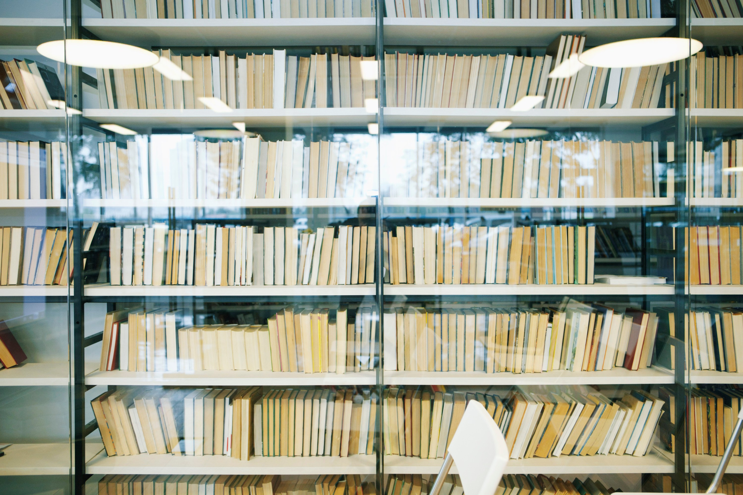 Юрий Бражников. Фото- и видеосъёмка в Москве