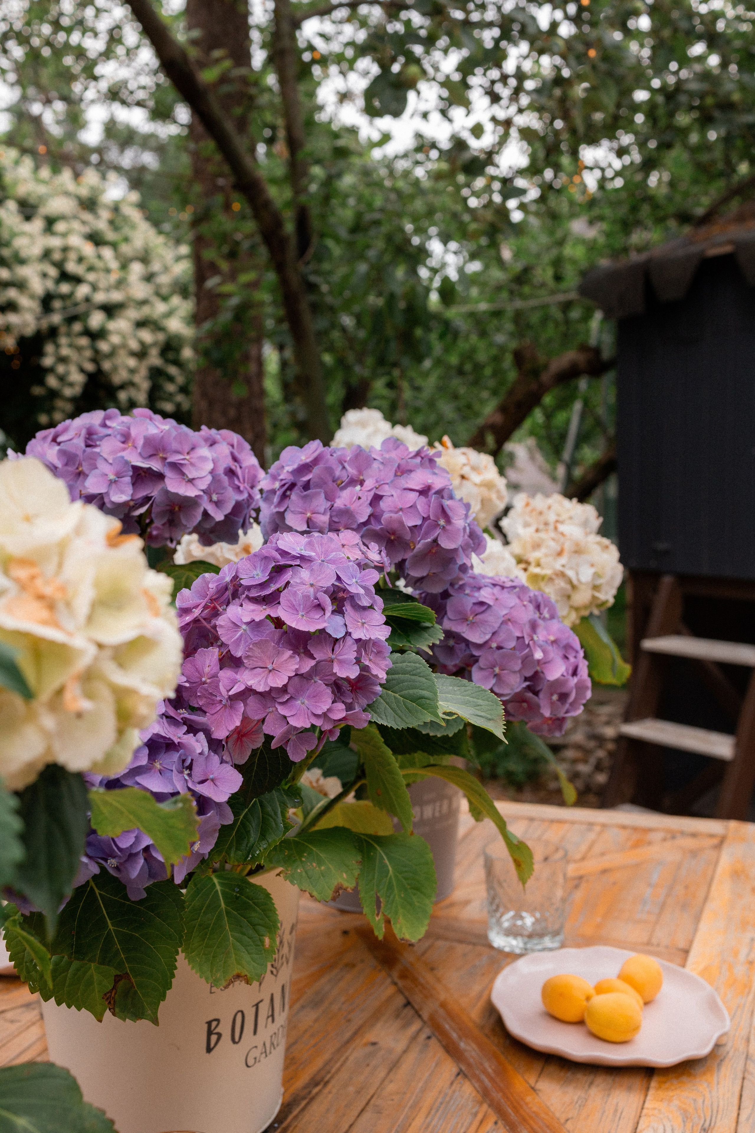 Семья Мазаевых. Портретный фотограф в Москве Кислая Елизавета
