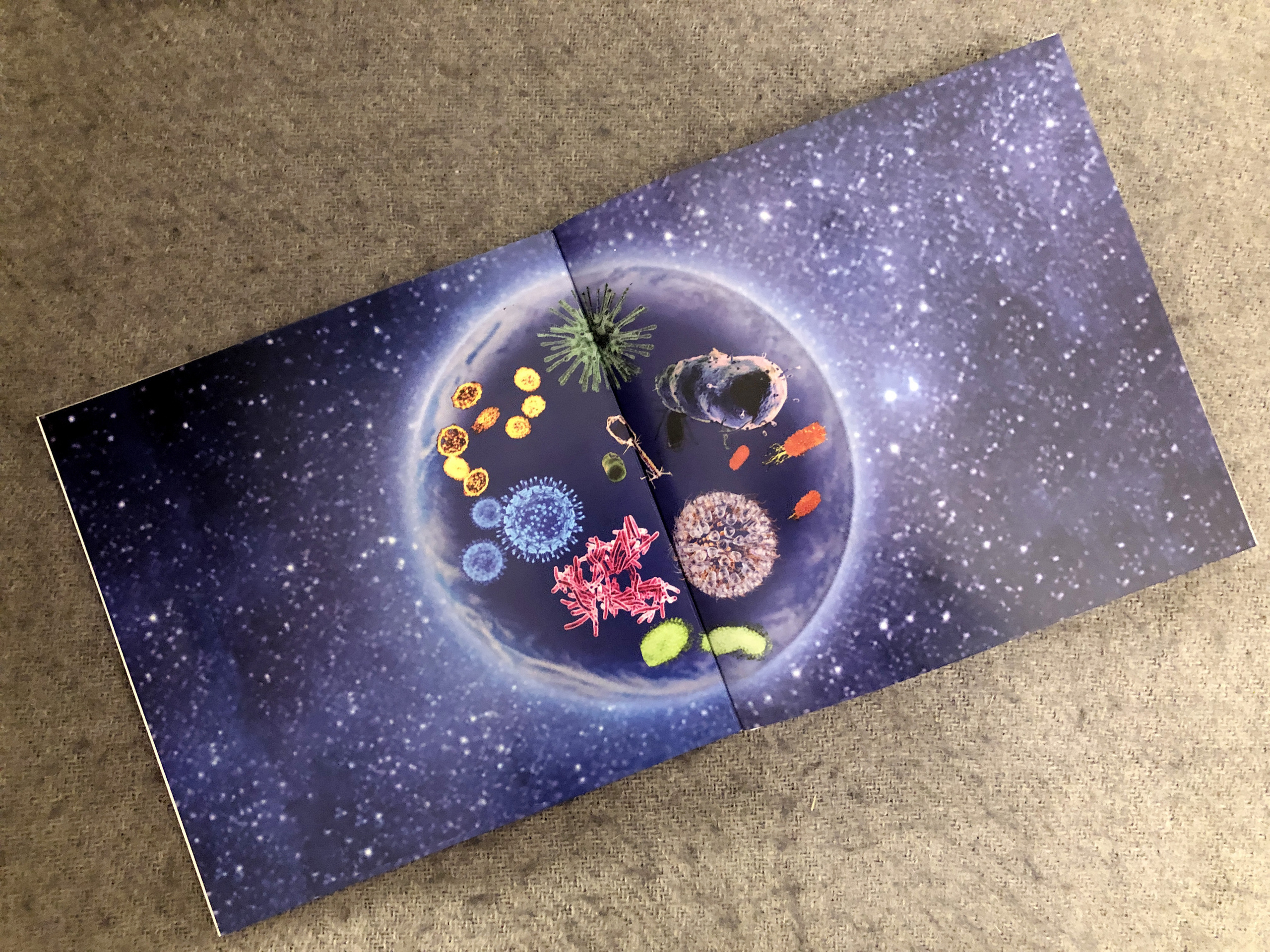 The Red Queen Principle*. Home