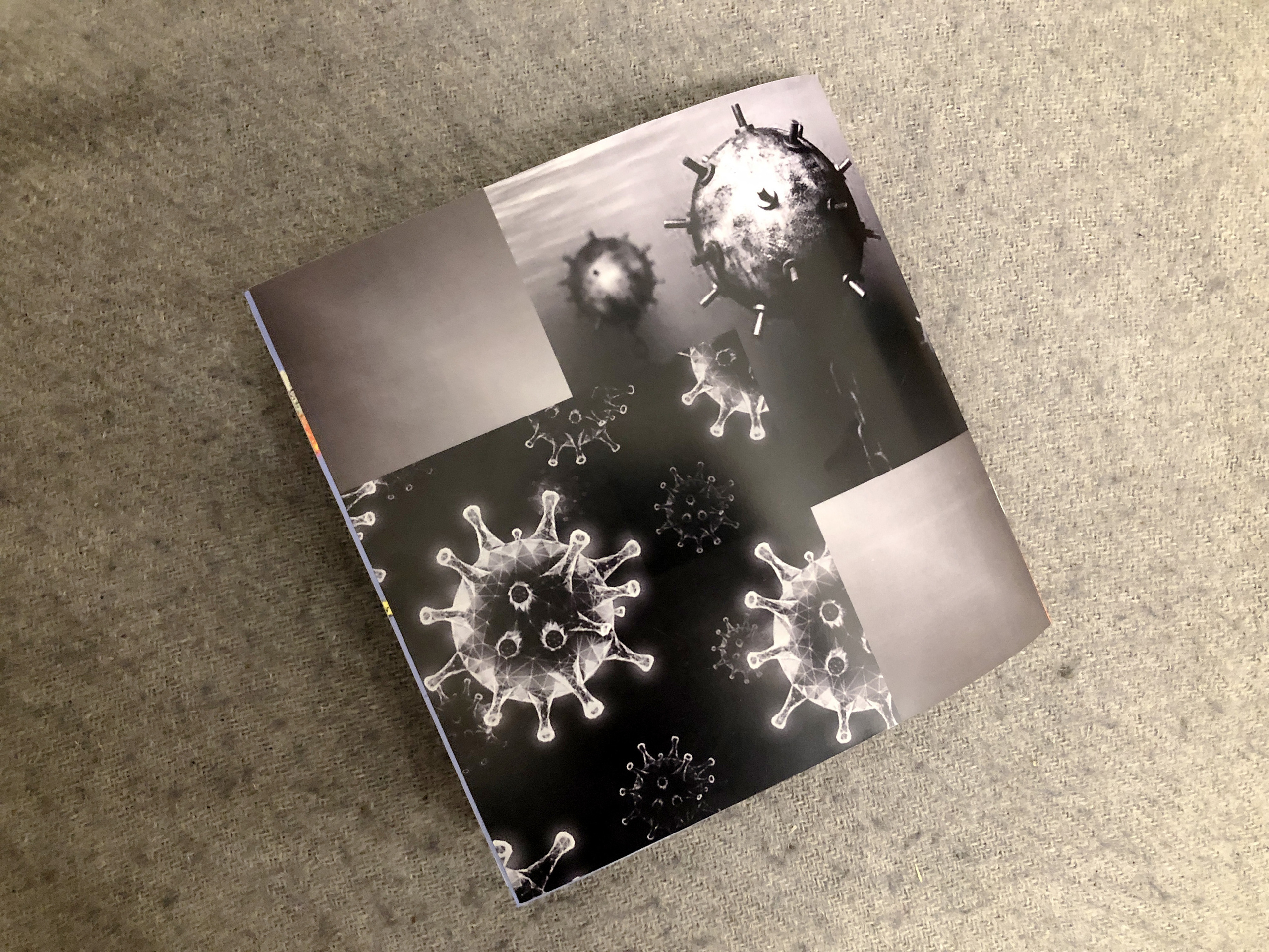 The Red Queen Principle*. Home