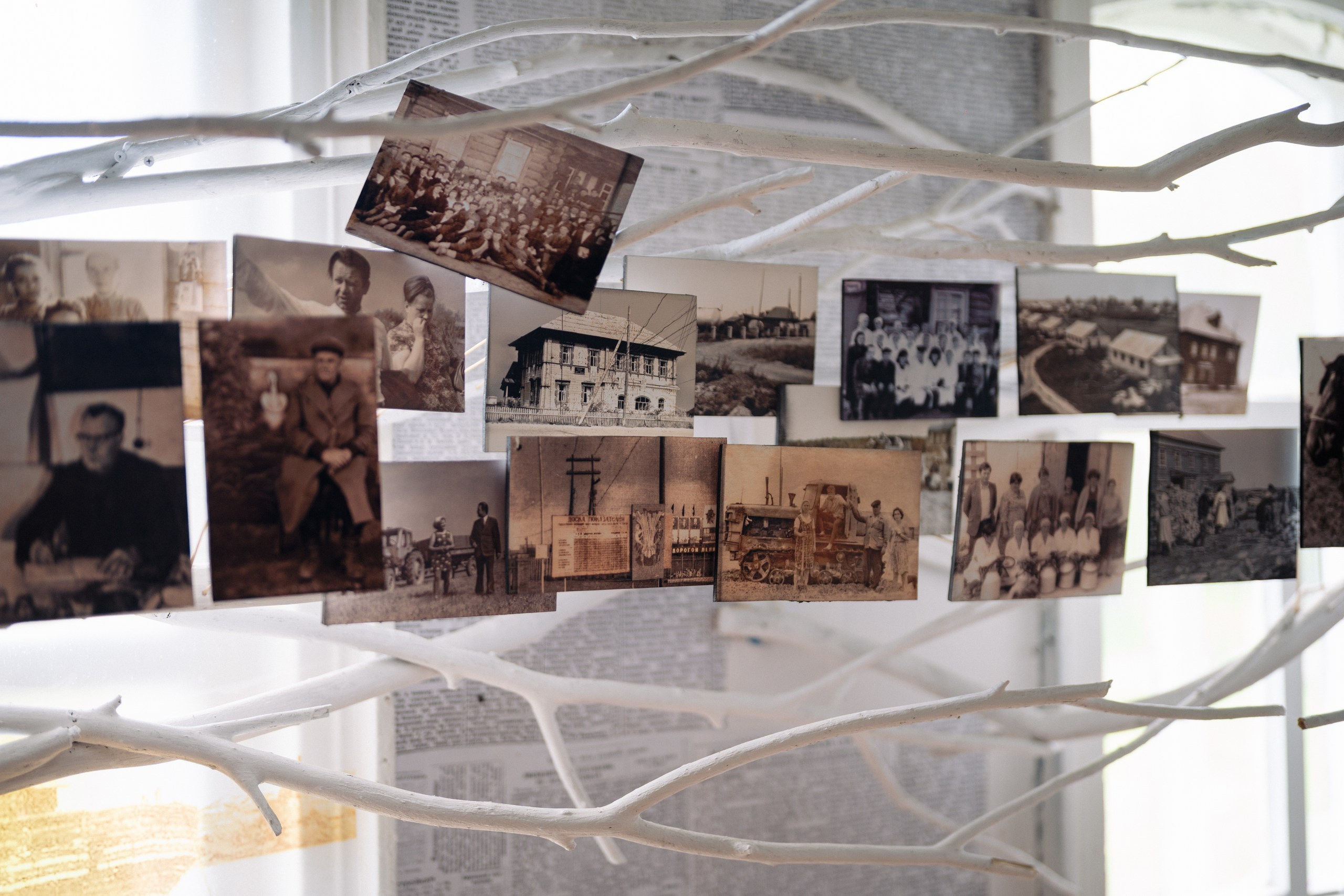 Сюжет № 9|Музей культуры дерева имени Е. И. Яранцева