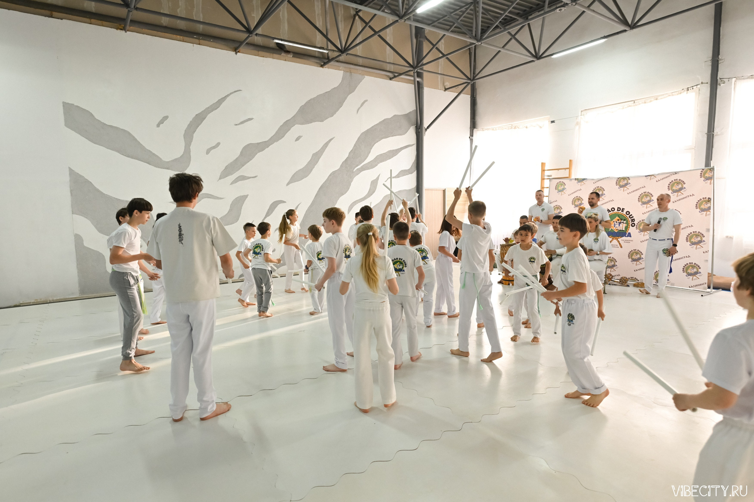 Capoeira: 4-е batizado e Troca de cordao. VIBECITY.RU Вайб Сити Ру Фоторепортажи Фотоотчеты Калининград