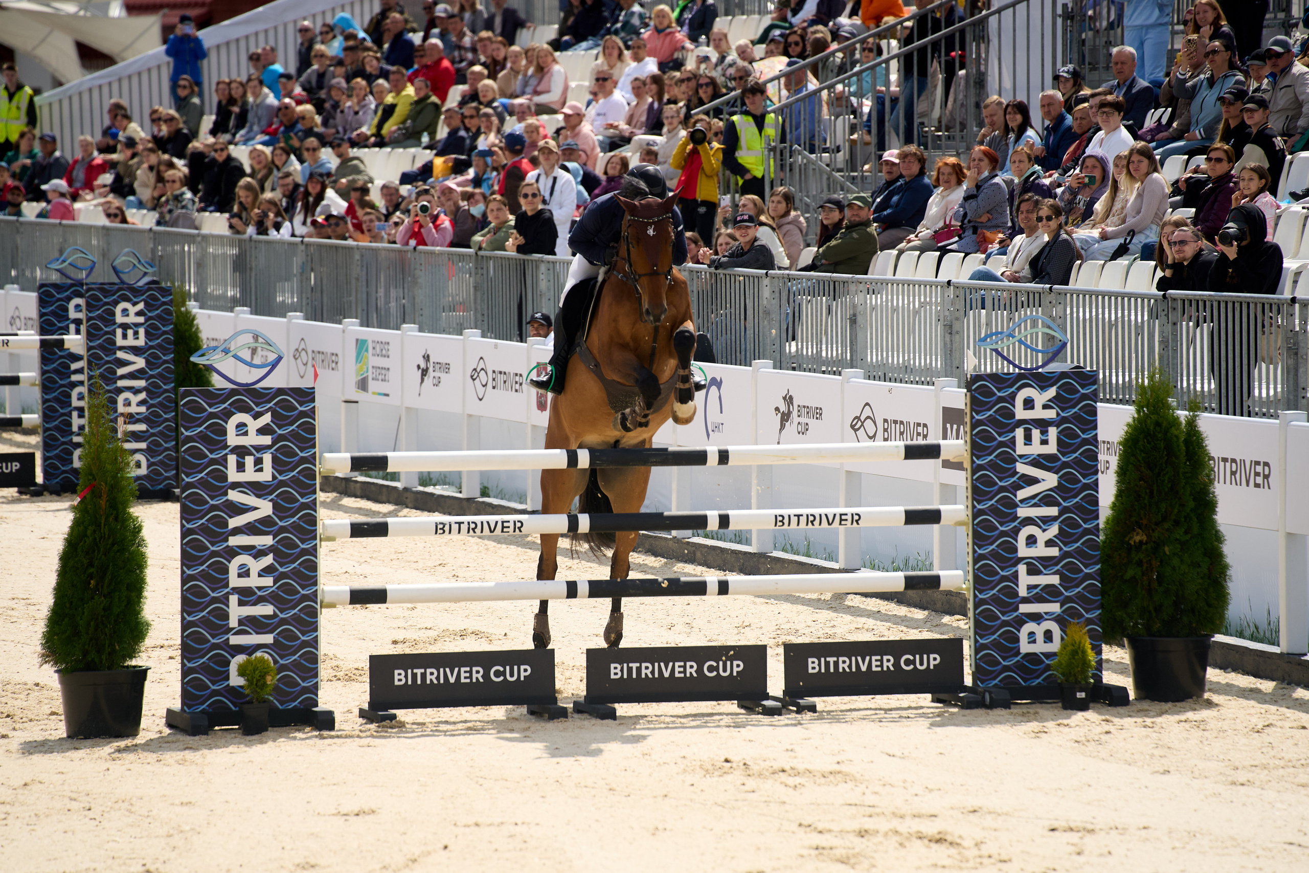 Photo report show jumping Bitriver Cup 2023. Reportage event photographer in Moscow Alexander Gladkiy