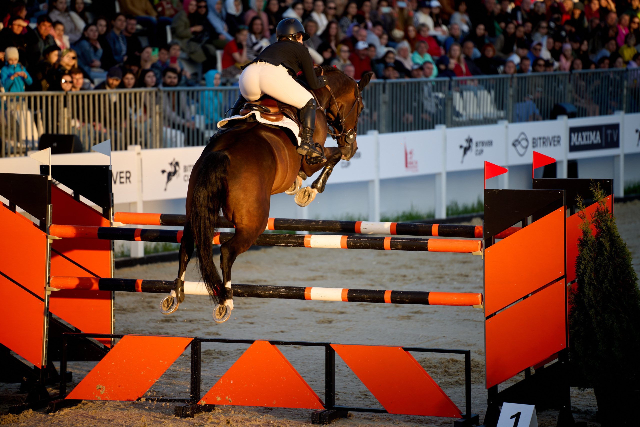 Photo report show jumping Bitriver Cup 2023. Reportage event photographer in Moscow Alexander Gladkiy