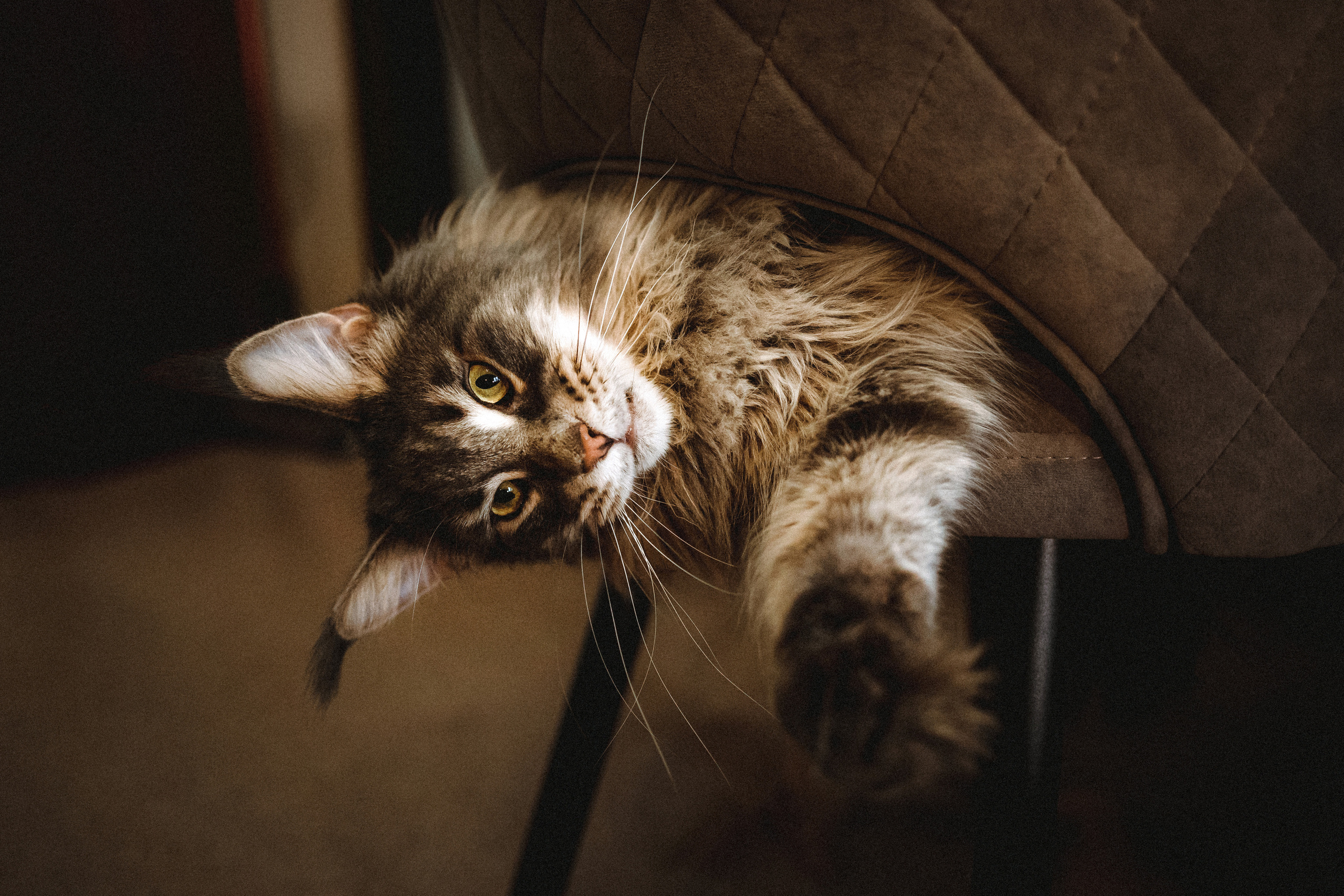 Адель и Марат