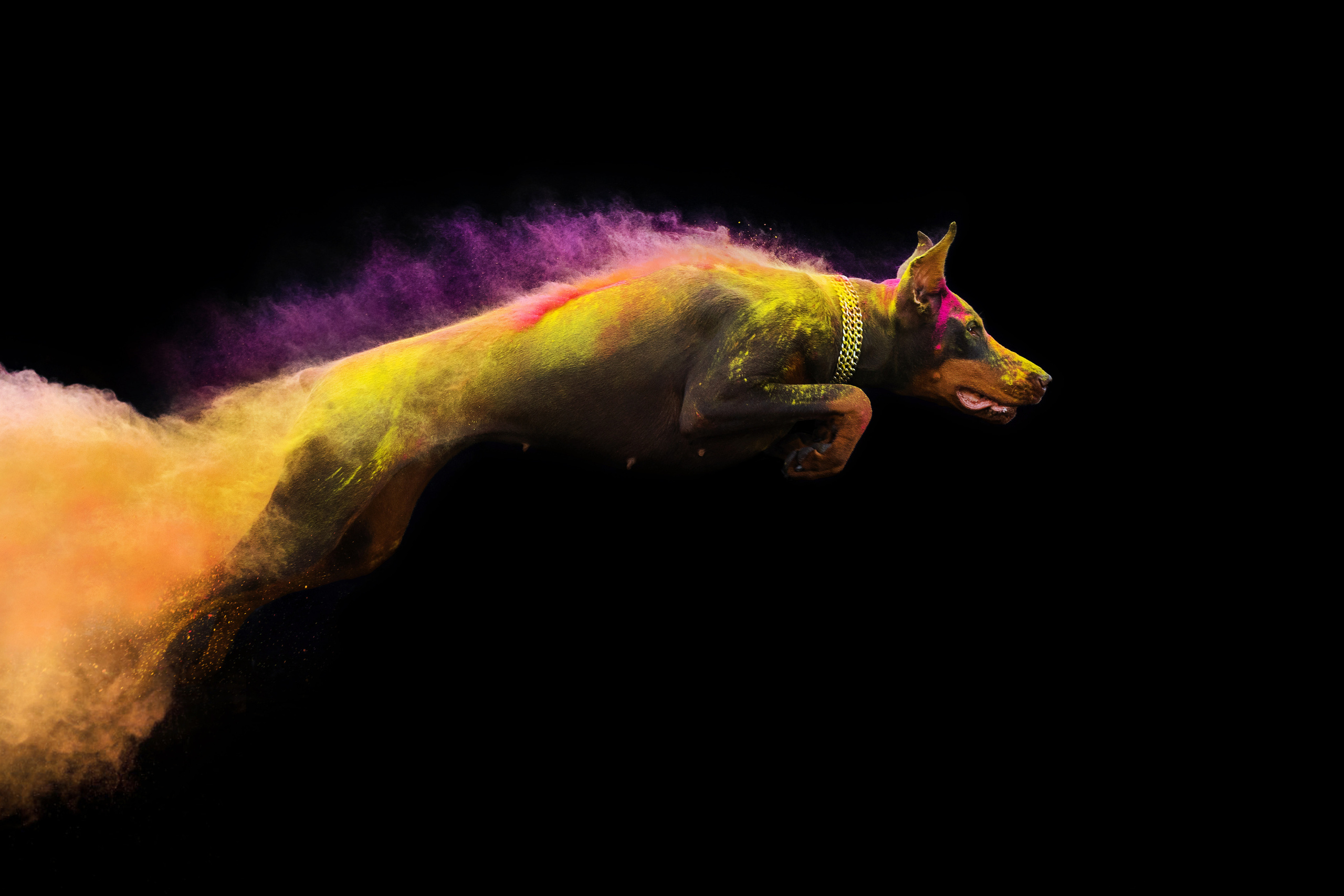 Фотосессия Элоди с красками холи