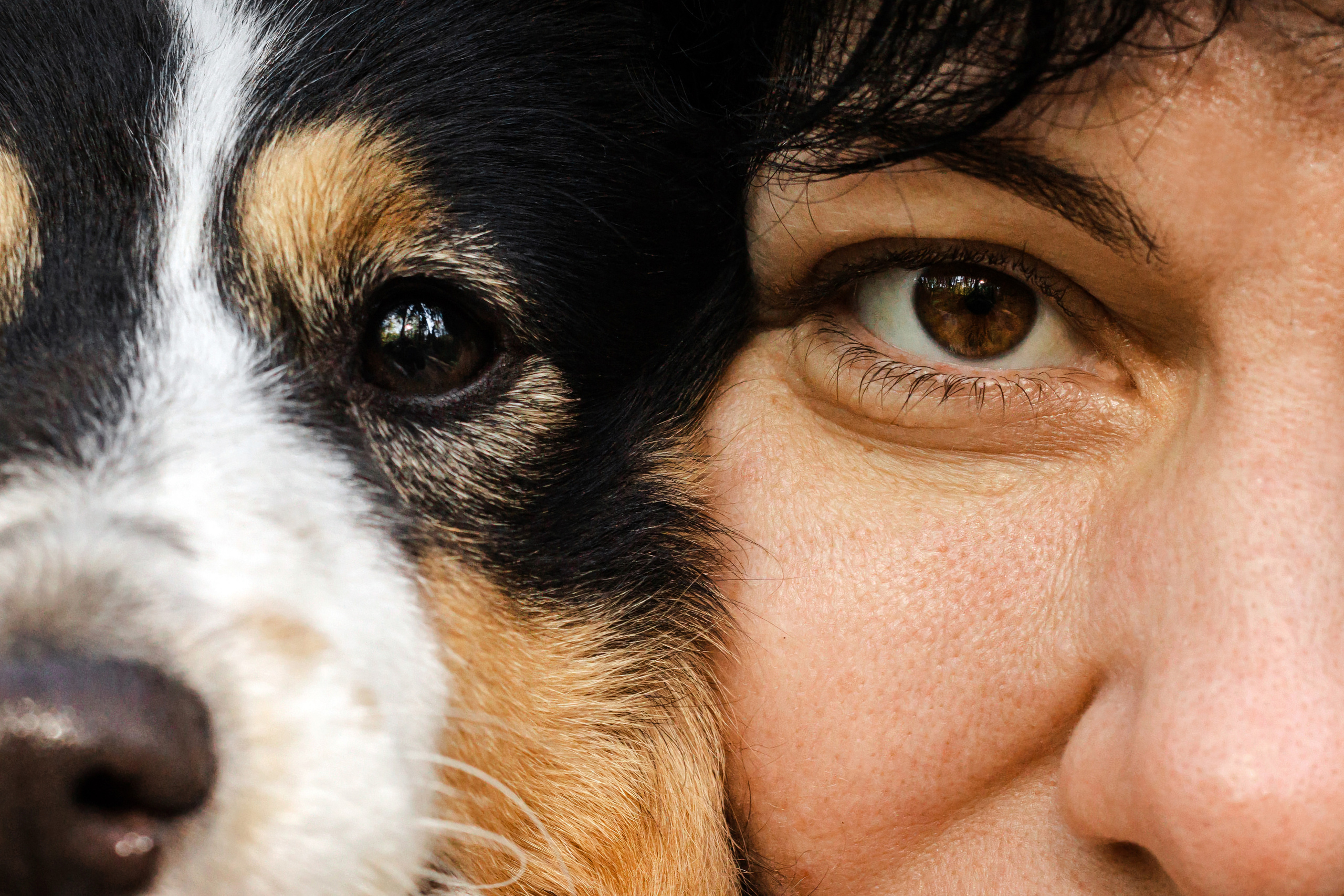 Ника и ее семья