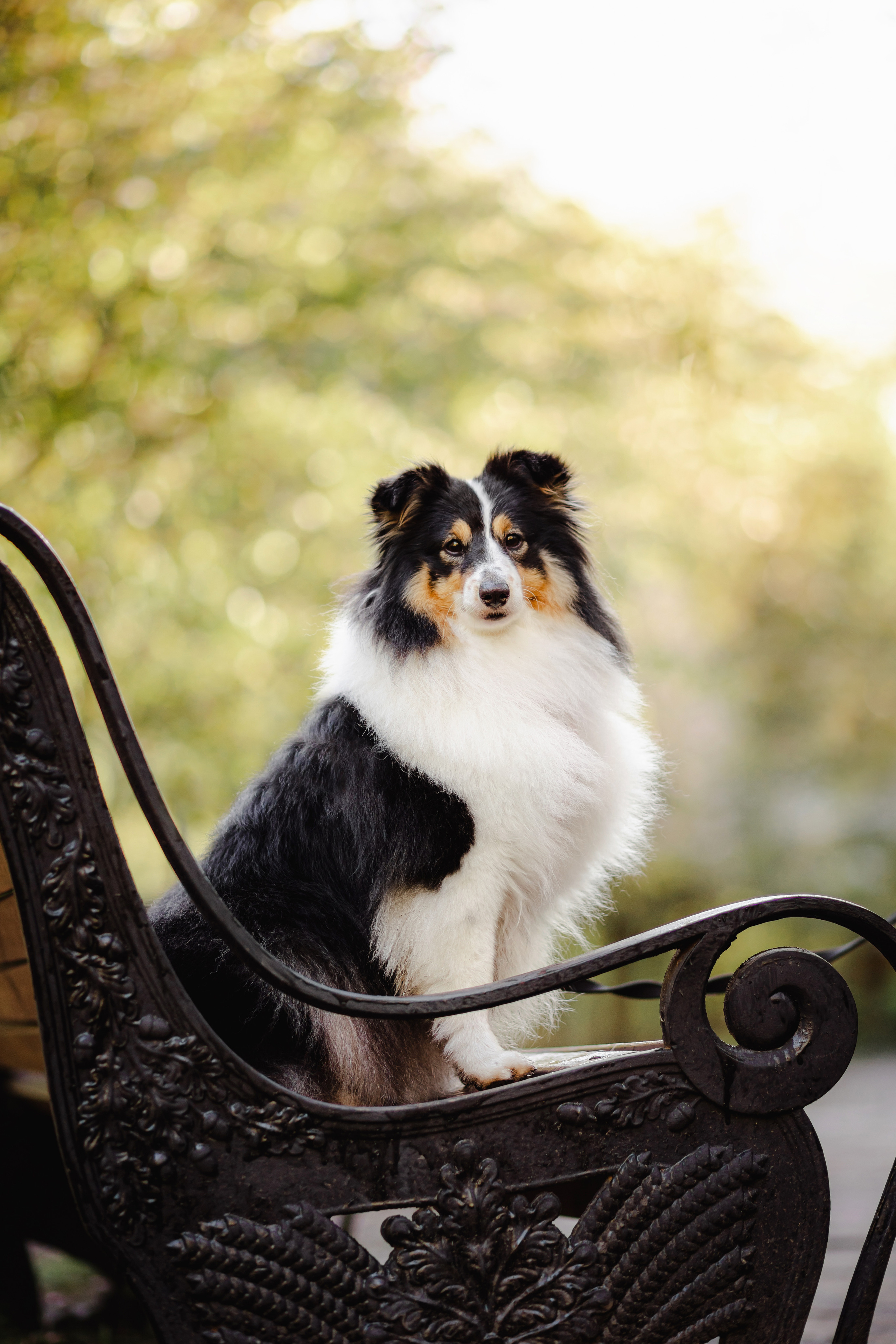 Ника и ее семья