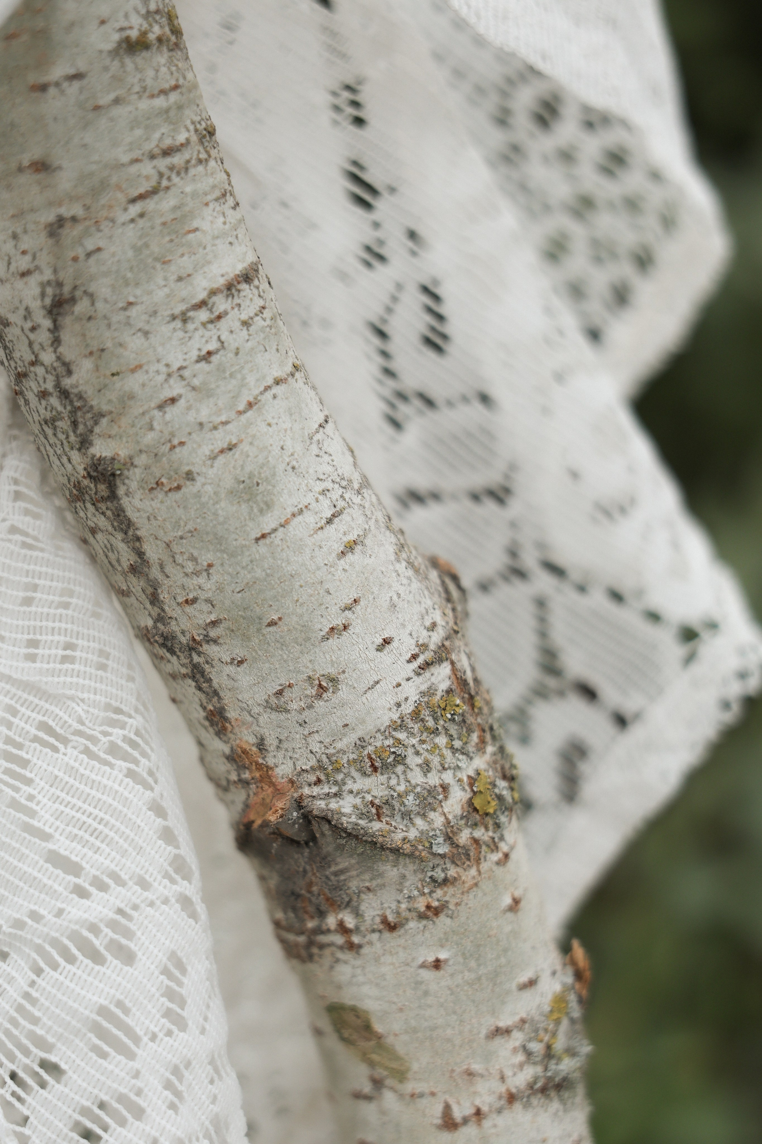 Свадебная фотосъемка. Фотограф Волгоград / Волжский