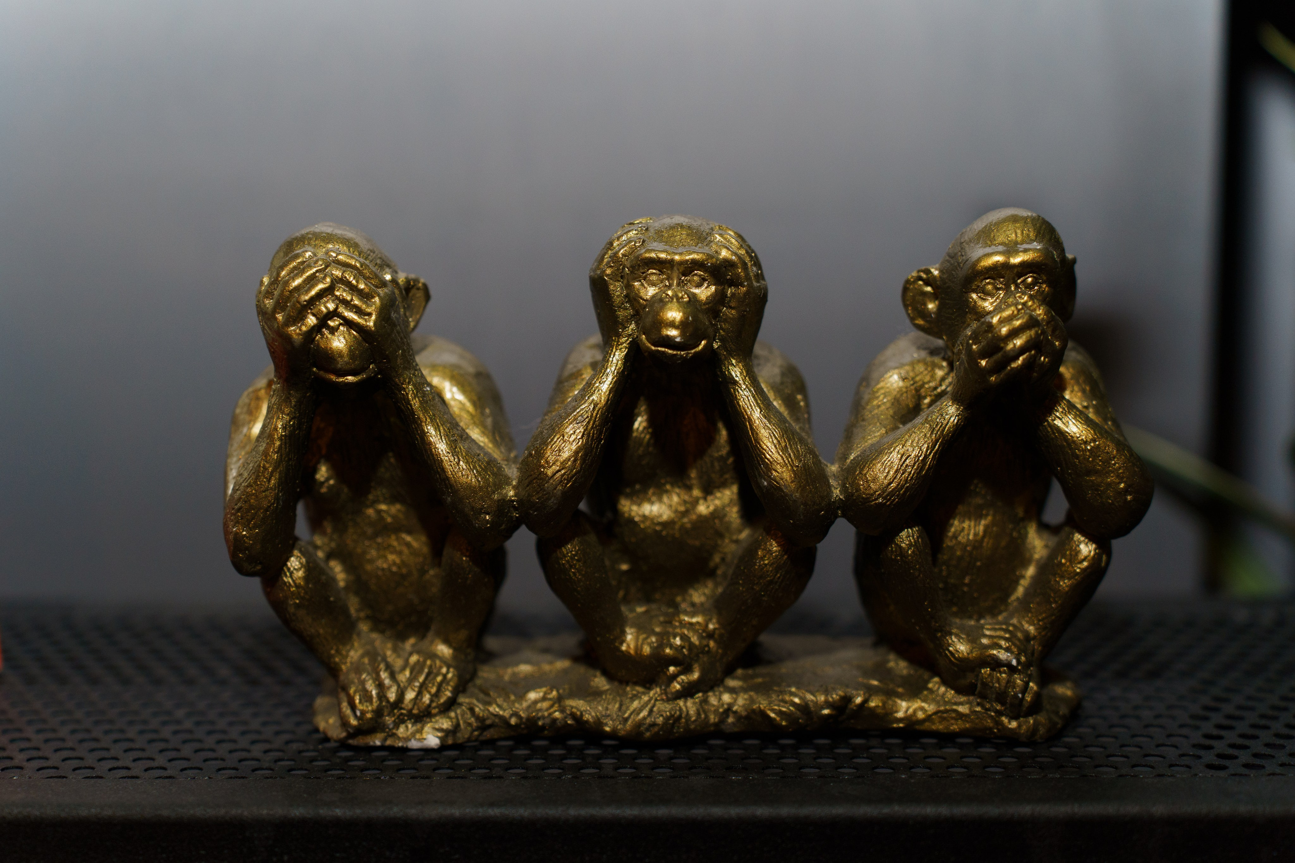 Услуги и цены. IzI_ photo