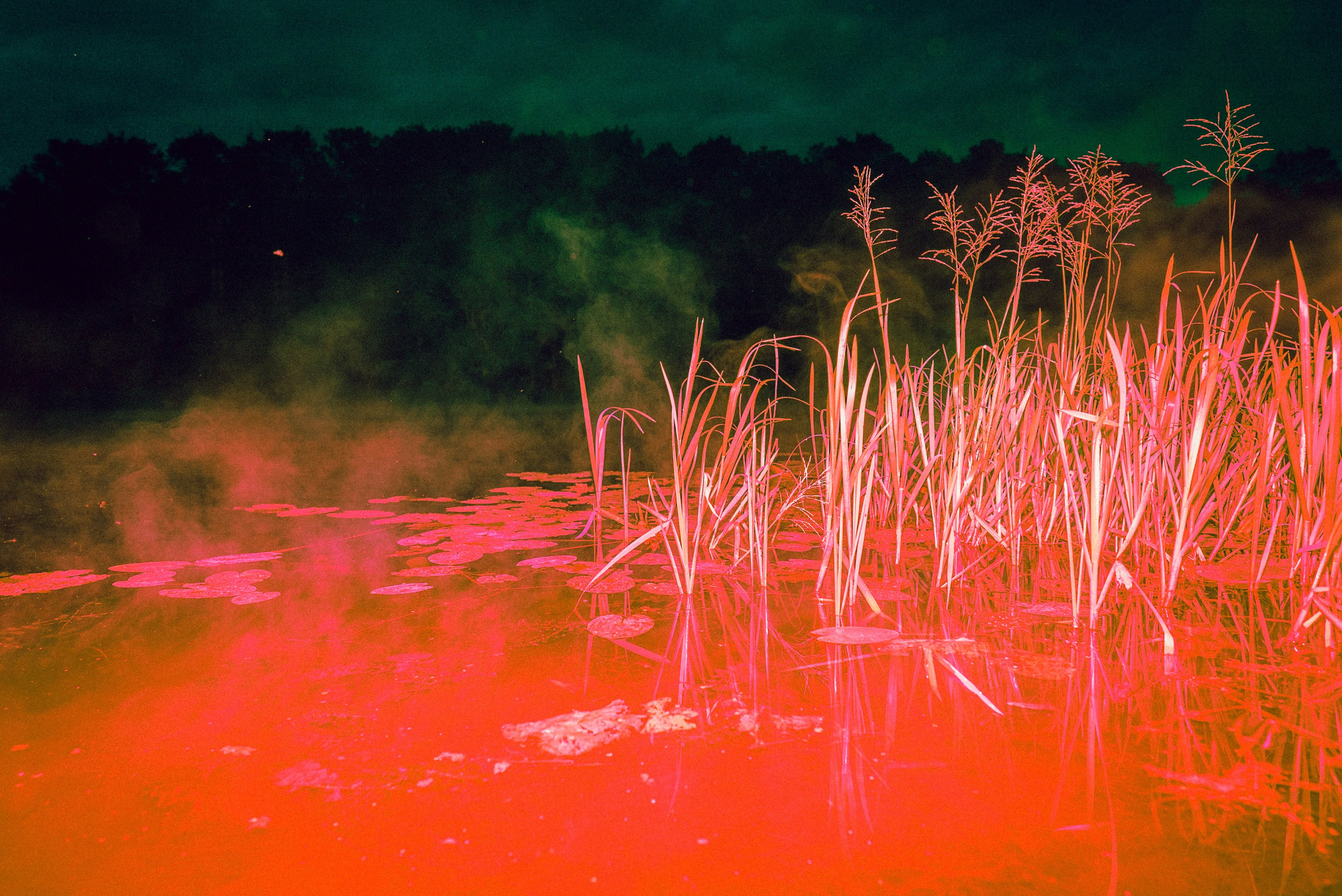 Through-colored-glass. Tatiana Mishchenko