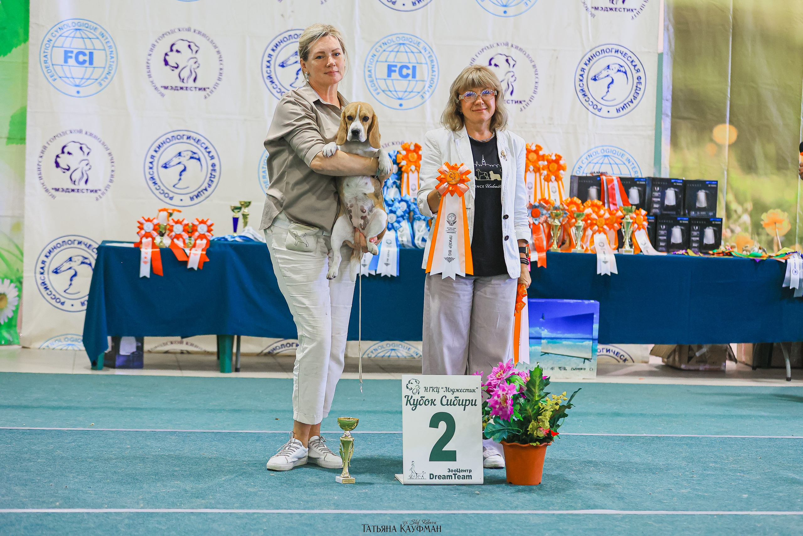 13.07.25 2х выставки собак. Новосибирск. «Кубок Сибири»