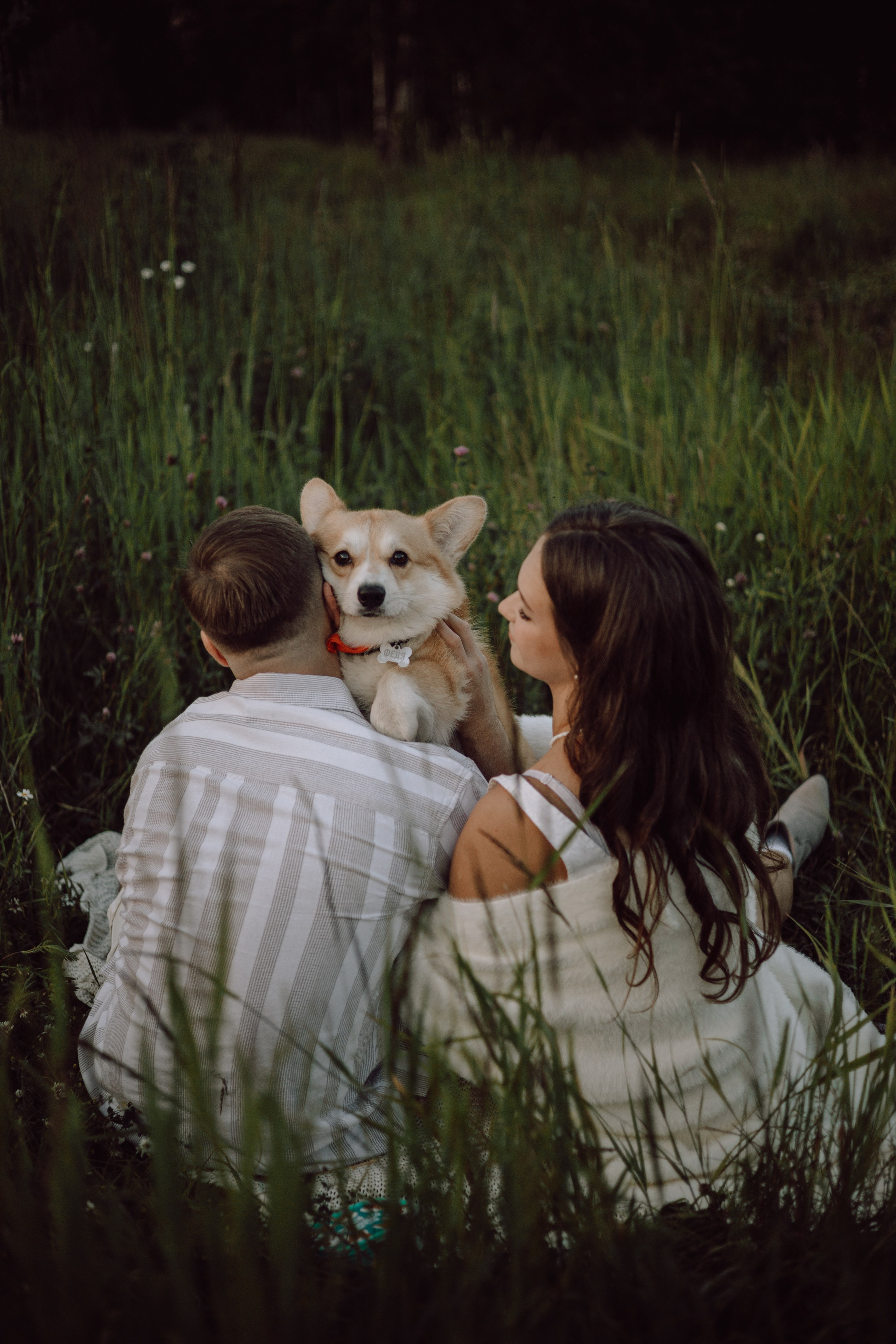 Фёдор и ребята. Фотограф — анималист •love-story•|Санкт-Петербург