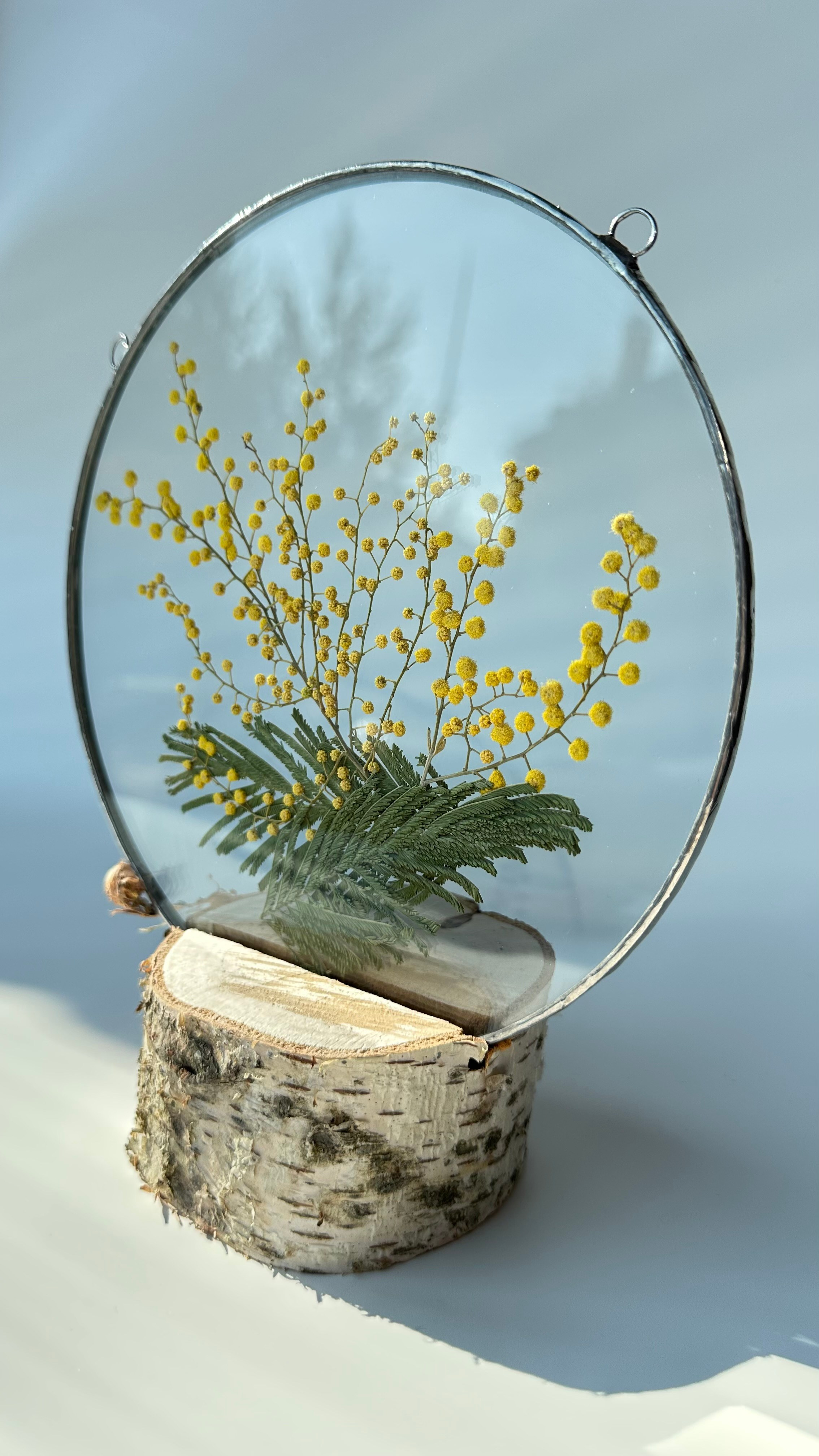 Мимоза круг 20 см. Оформляю пространства. Витражи с сухоцветами в технике Тиффани