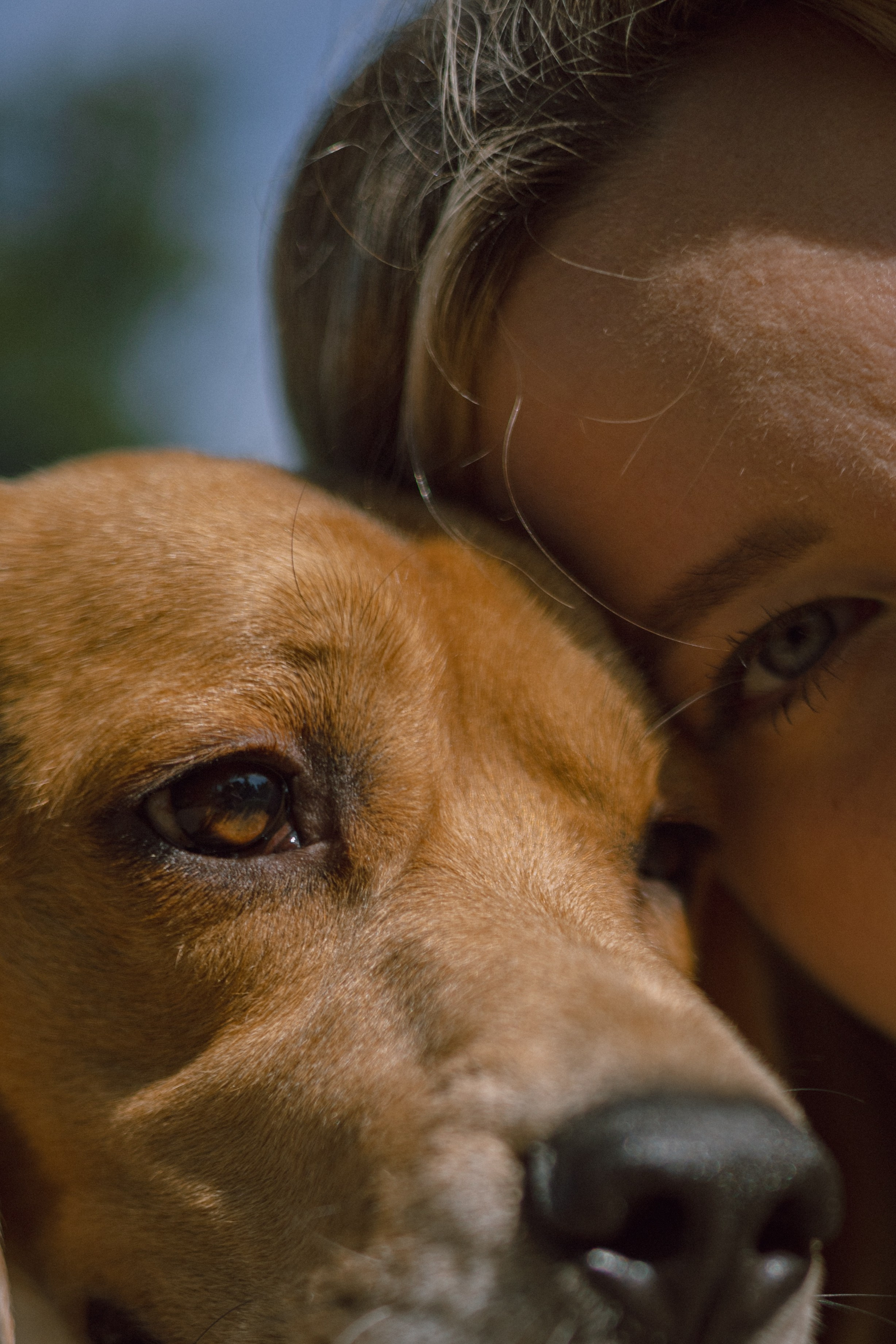 Катя и Оуджи. Фотограф — анималист •love-story•|Санкт-Петербург