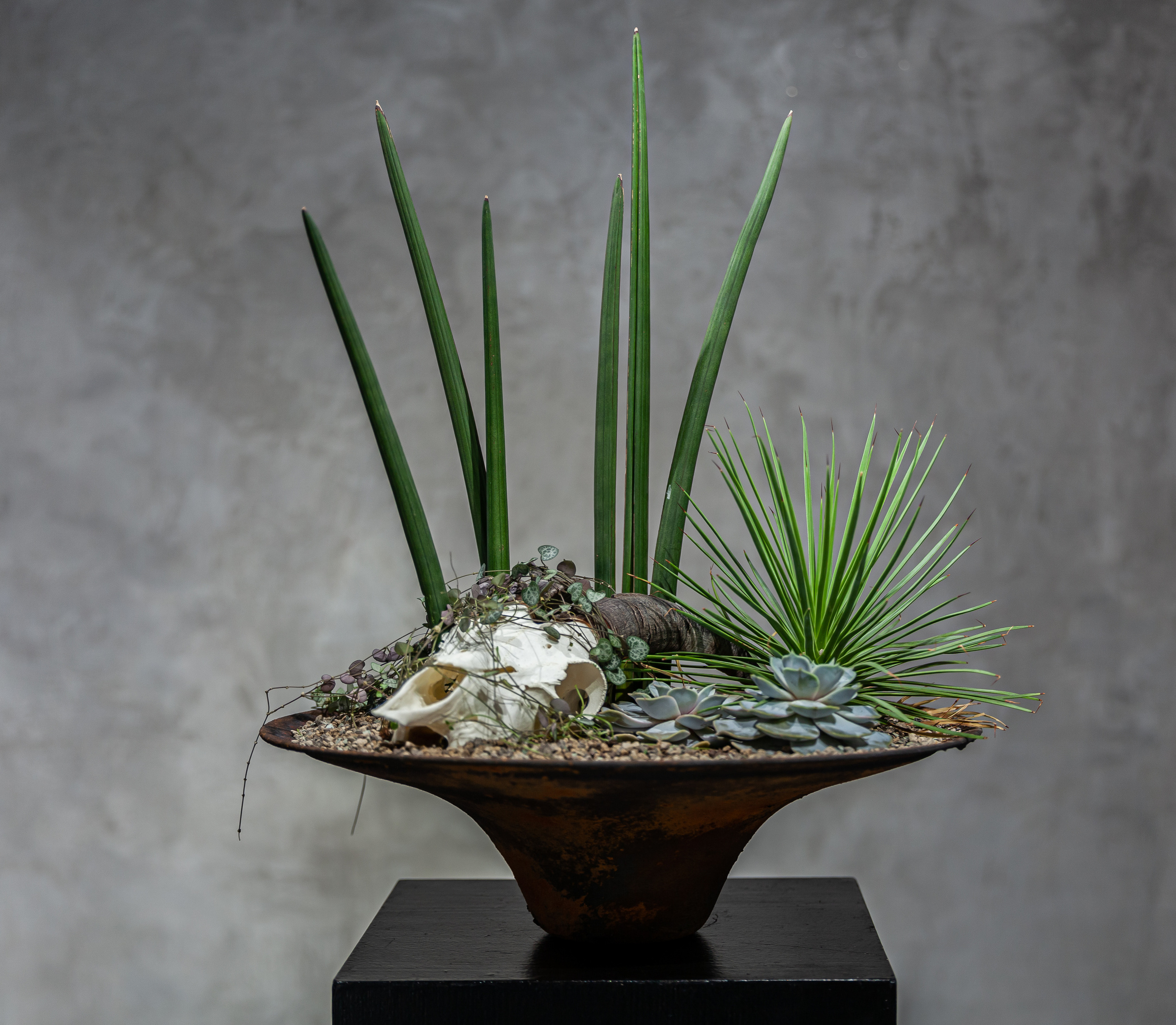 Фитодизайн, работы Андрея Филоненко. Maria Poleshchuk, commercial photographer in Sydney