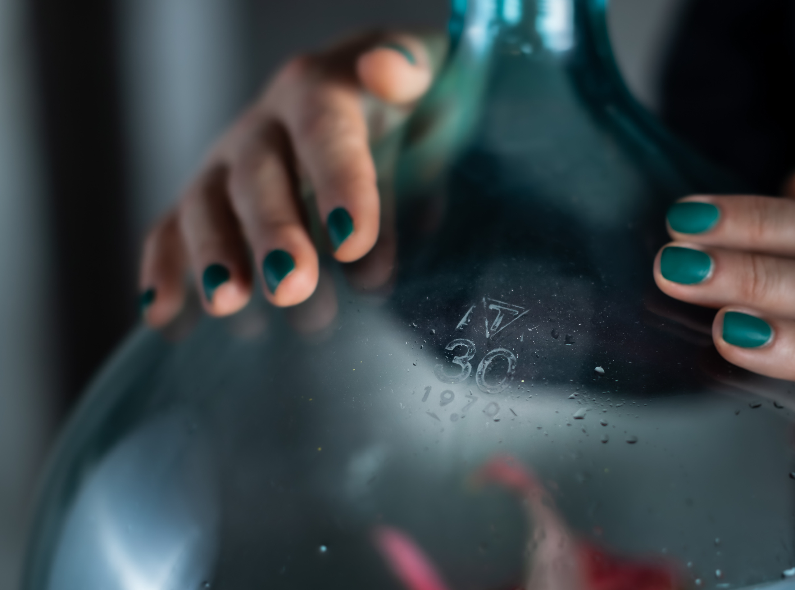 Сад в бутылке. Maria Poleshchuk, commercial photographer in Sydney