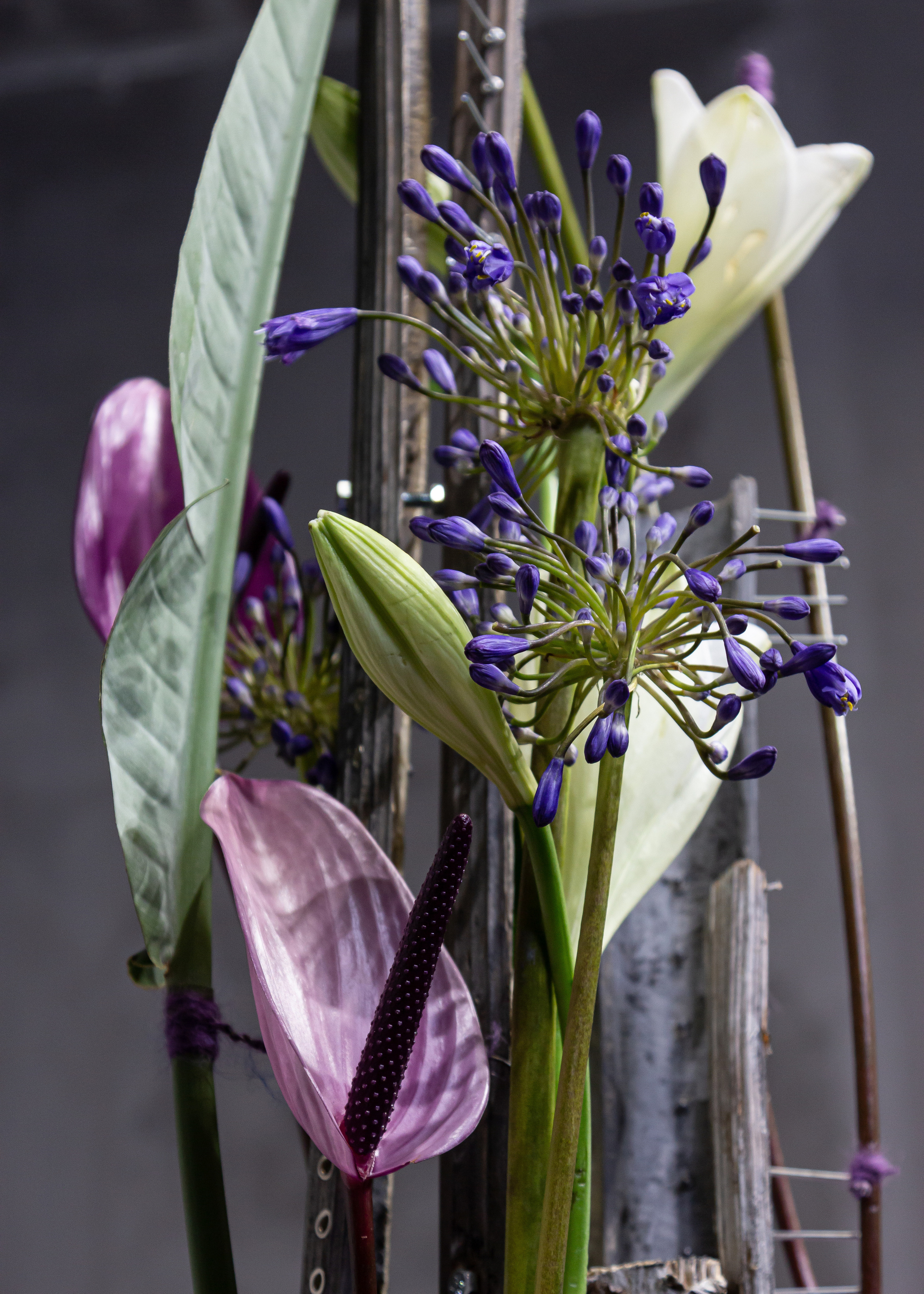 Мужские букеты. Maria Poleshchuk, commercial photographer in Sydney