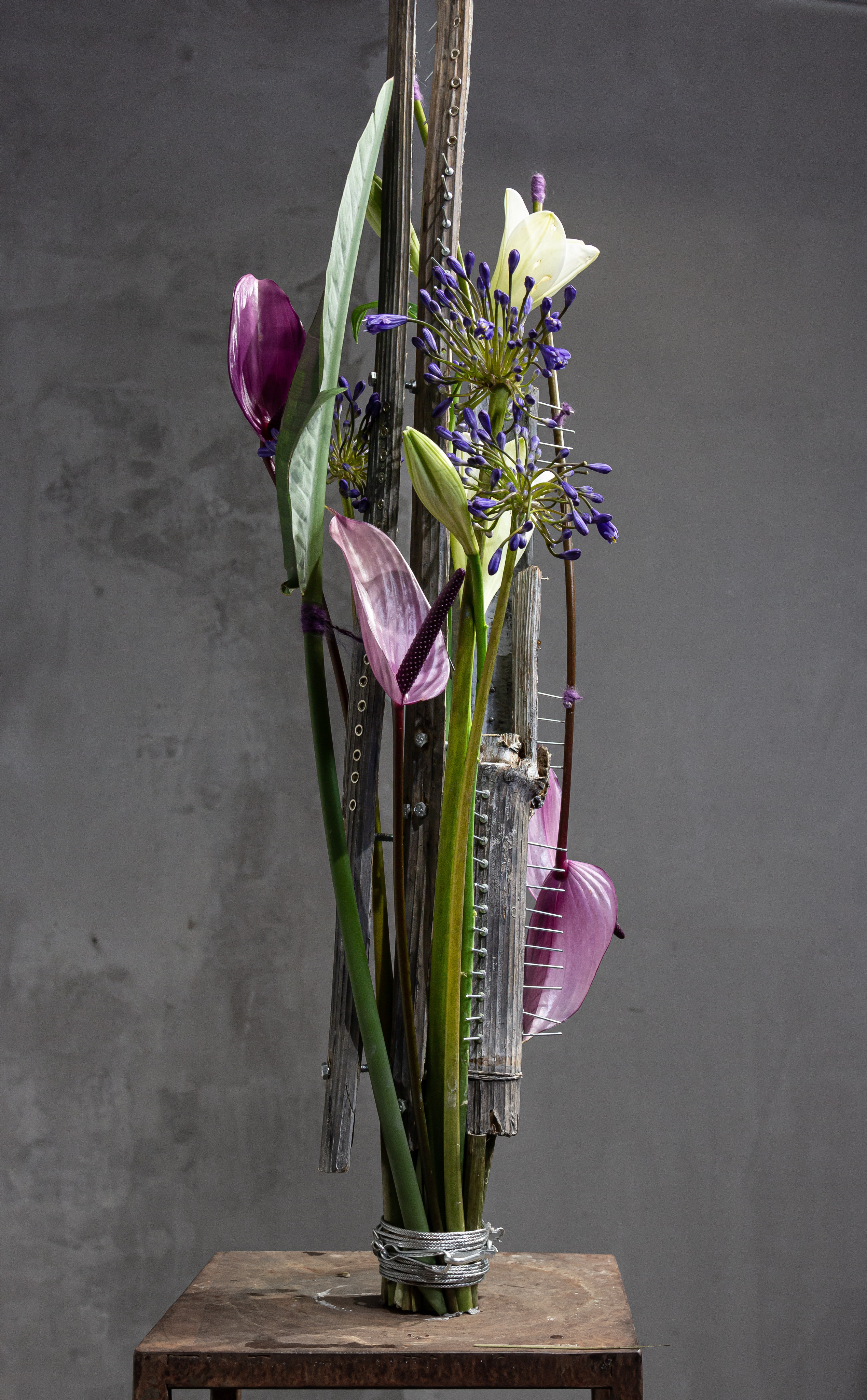 Мужской букет. Maria Poleshchuk, commercial photographer in Sydney