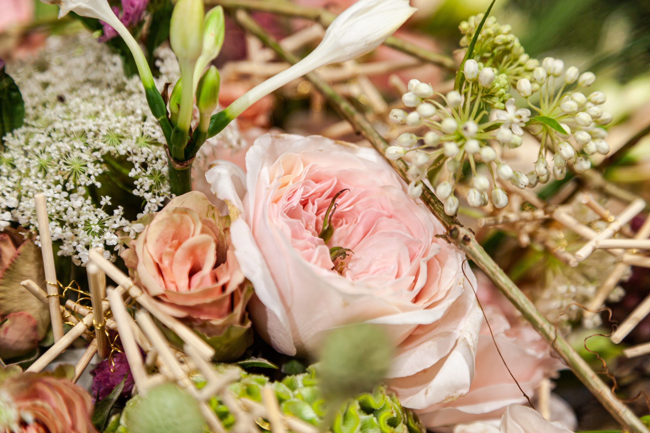 Гармония роз пудровых оттенков и их окружения.