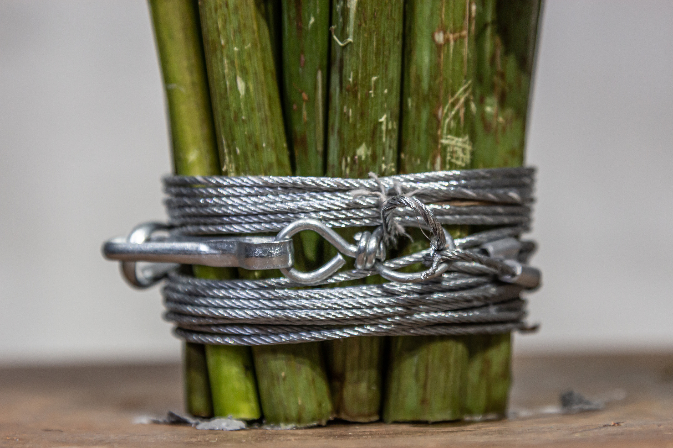 Мужской букет. Maria Poleshchuk, commercial photographer in Sydney