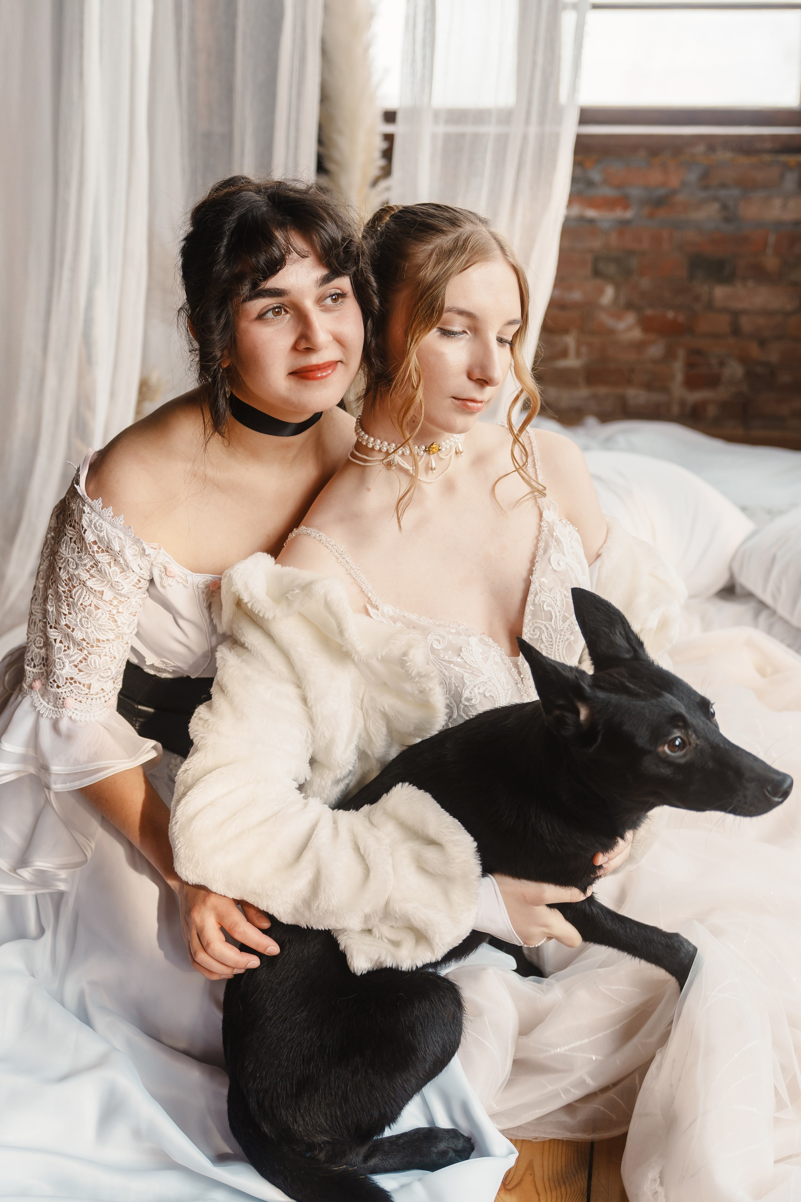 Танцоры и питомцы. ИТВИ