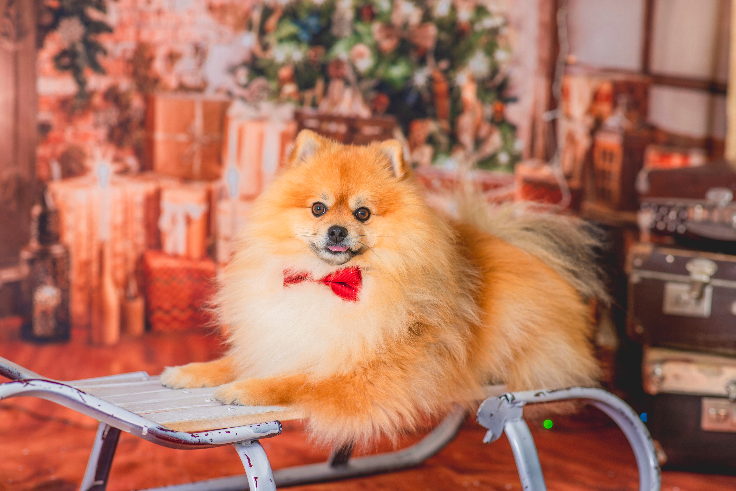 Репортажная