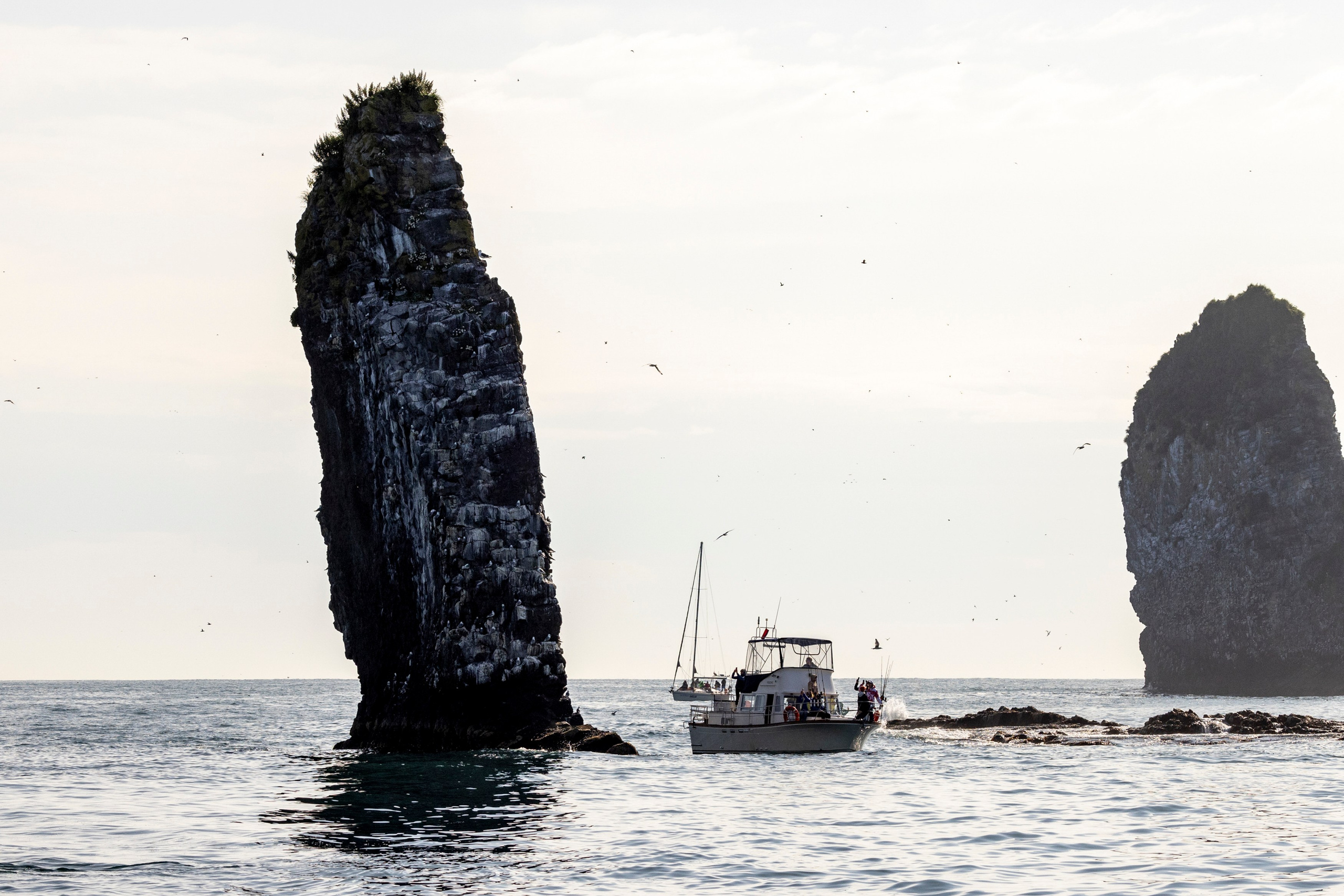 Мыс Зелёный — вулканические скалы и океанские виды. Время Камчатки: чтобы найти свой путь, нужно скорость умножить на время