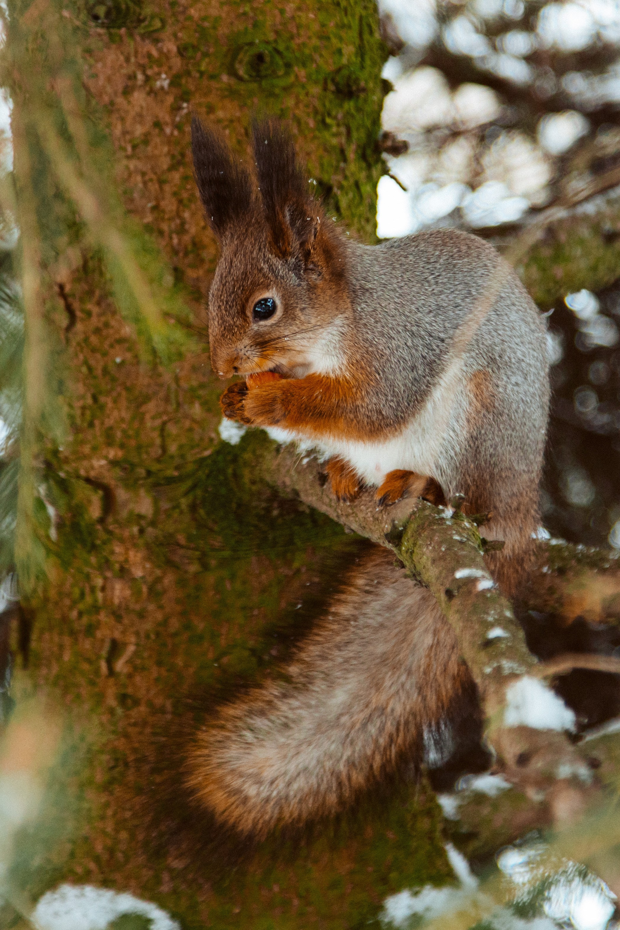 ФОТОСЕССИЯ В ПЕТЕРГОФЕ. ГДЕ СНИМАТЬ В ПЕТЕРГОФЕ