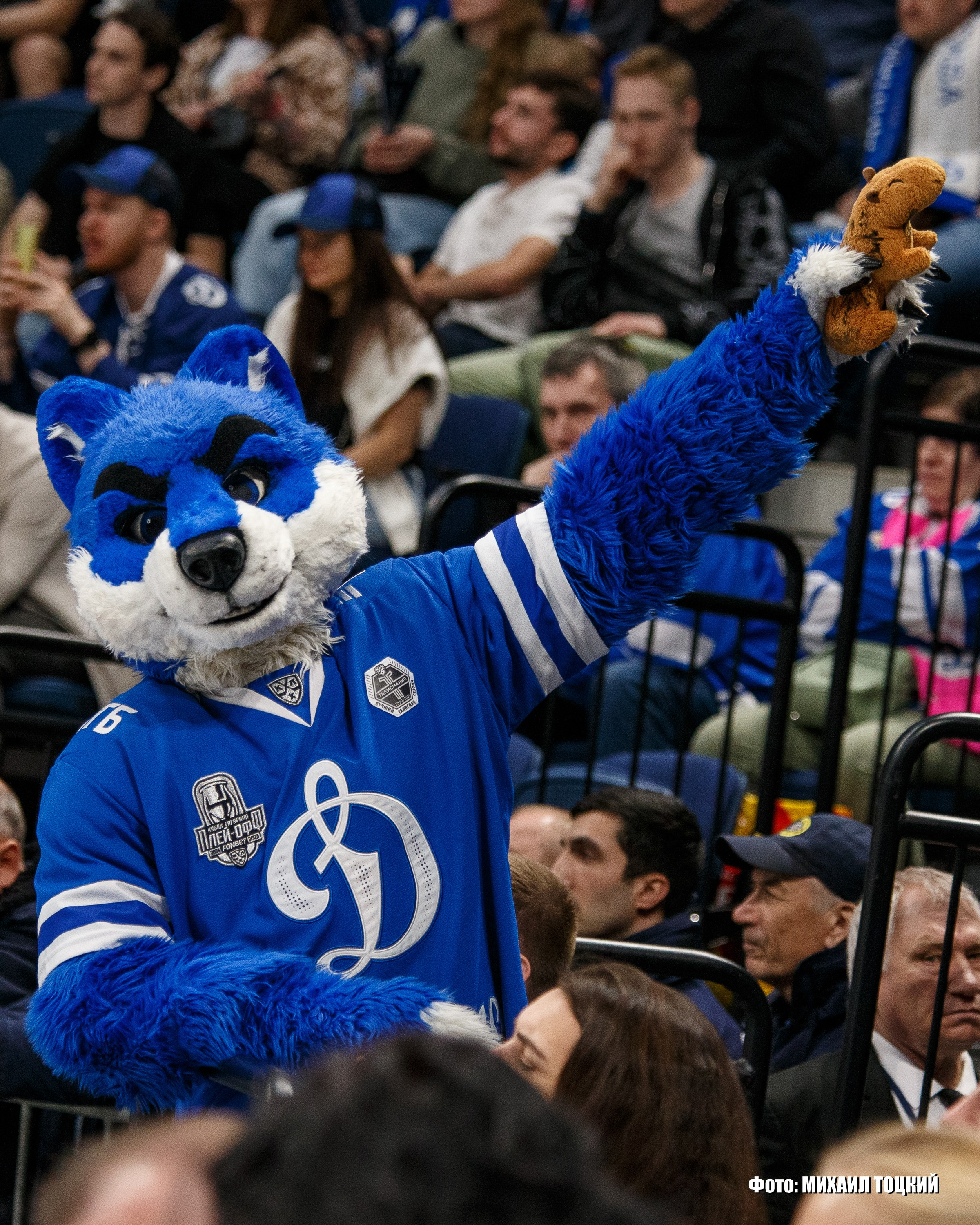 Фоторепортаж Плей-офф КХЛ. Динамо (Москва) — Ак Барс (Казань). Михаил Тоцкий портретный и репортажный фотограф в Москве